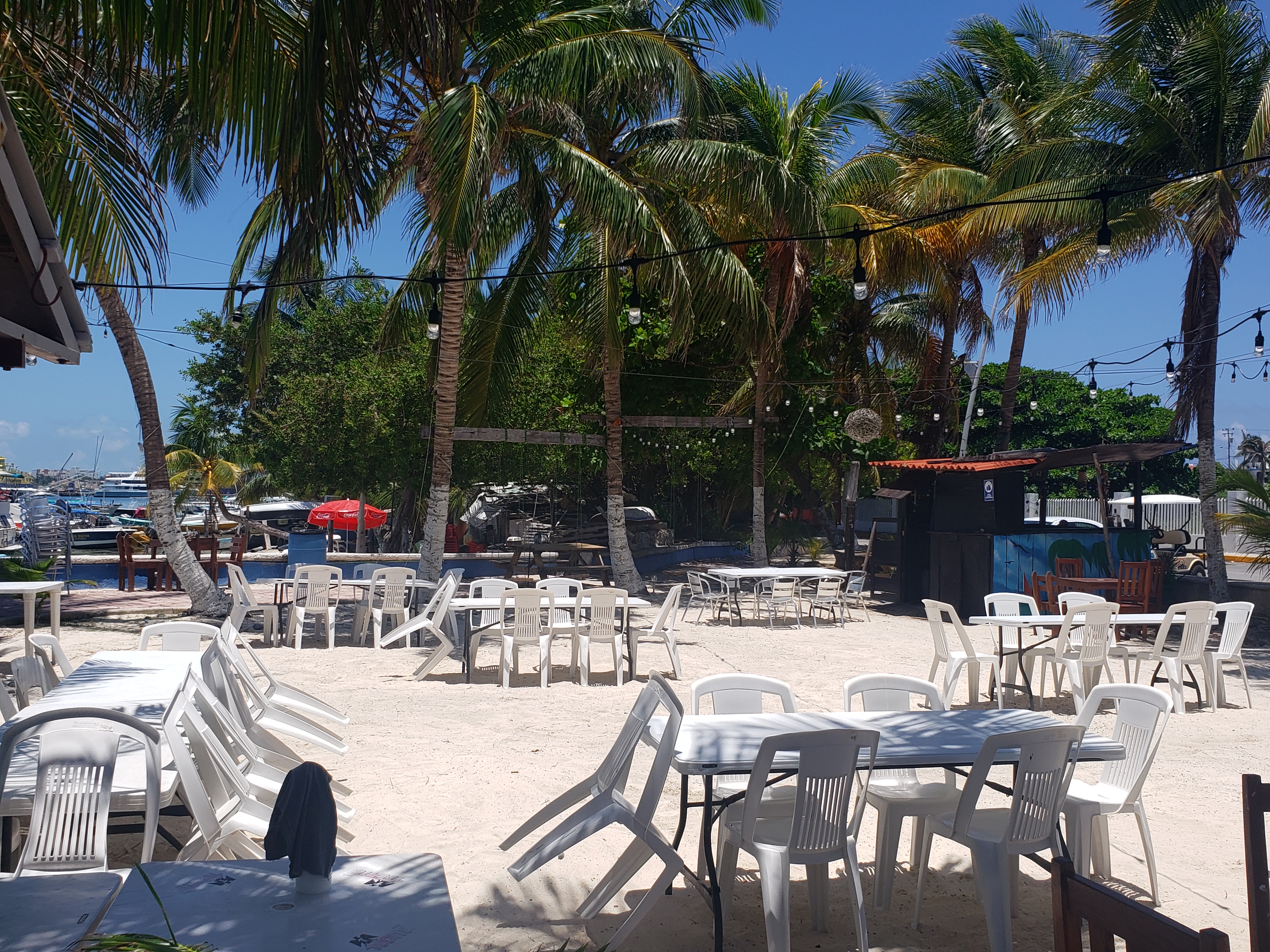 Great ceviche image 1