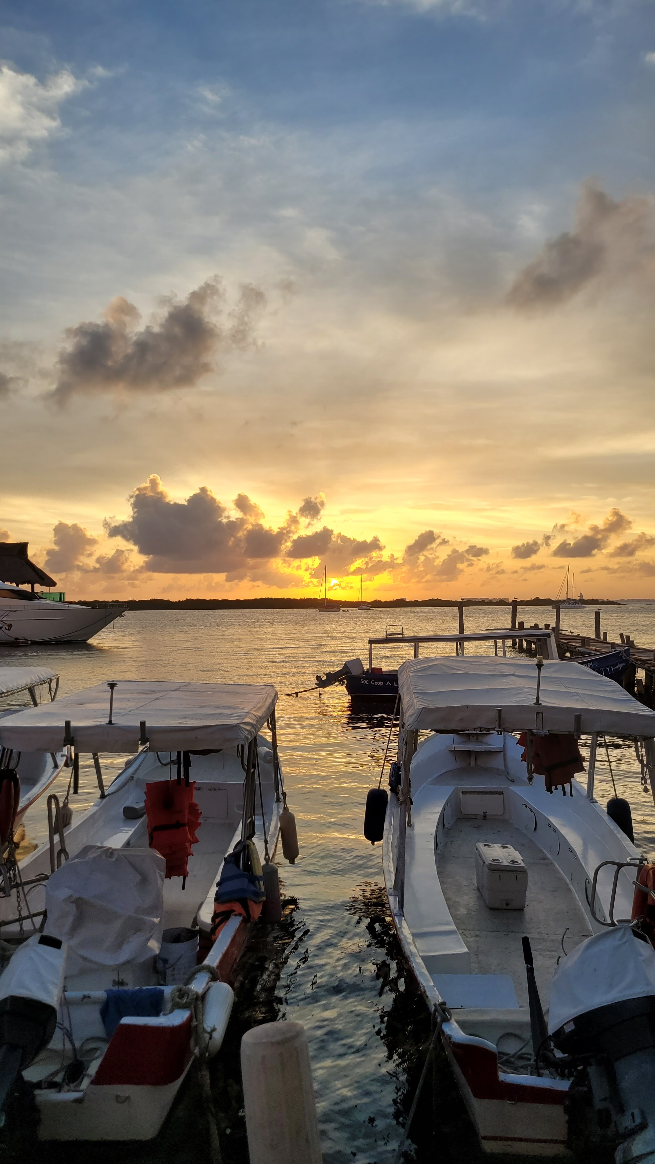 Great ceviche image 5