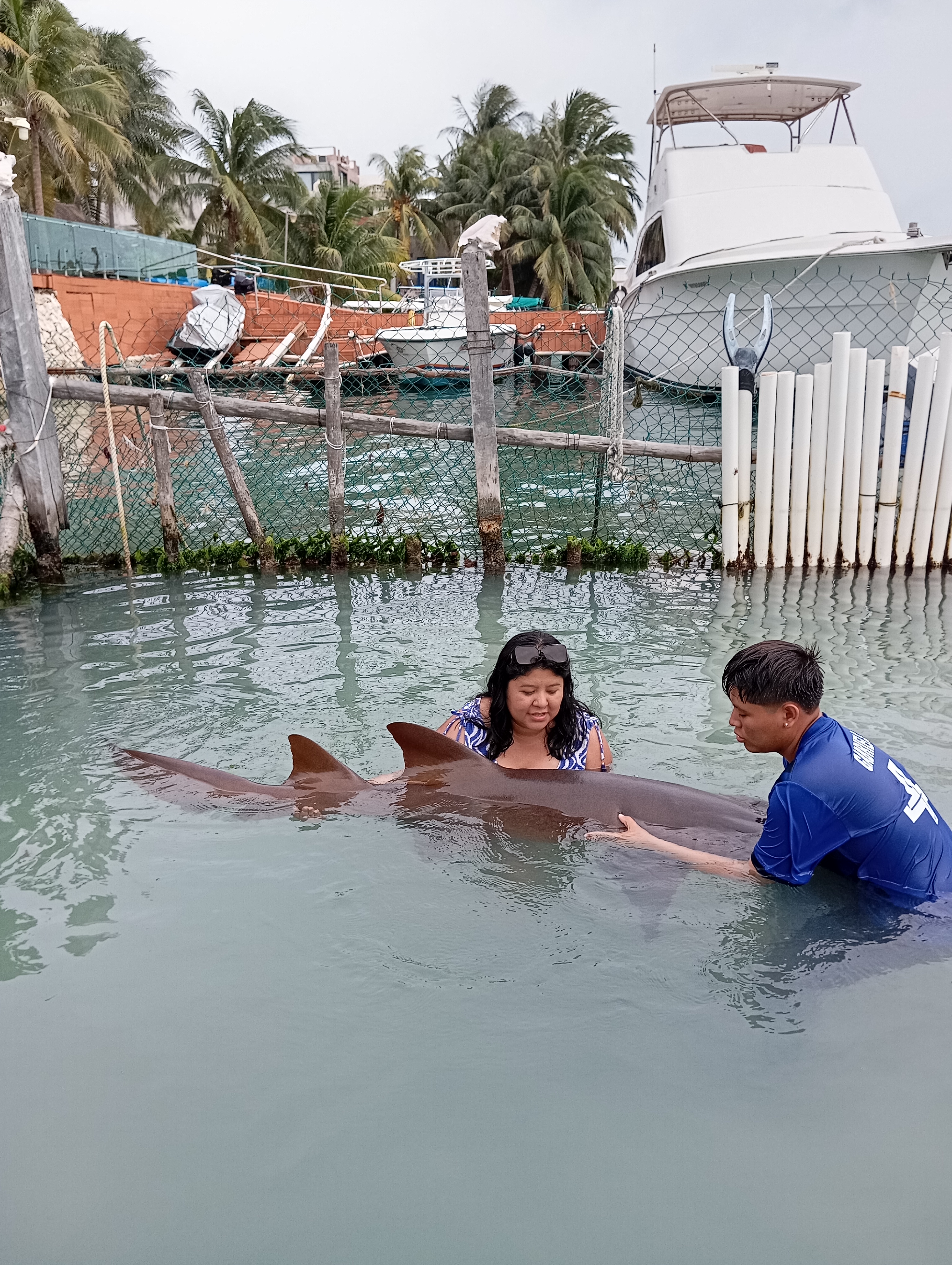 Great ceviche image 7