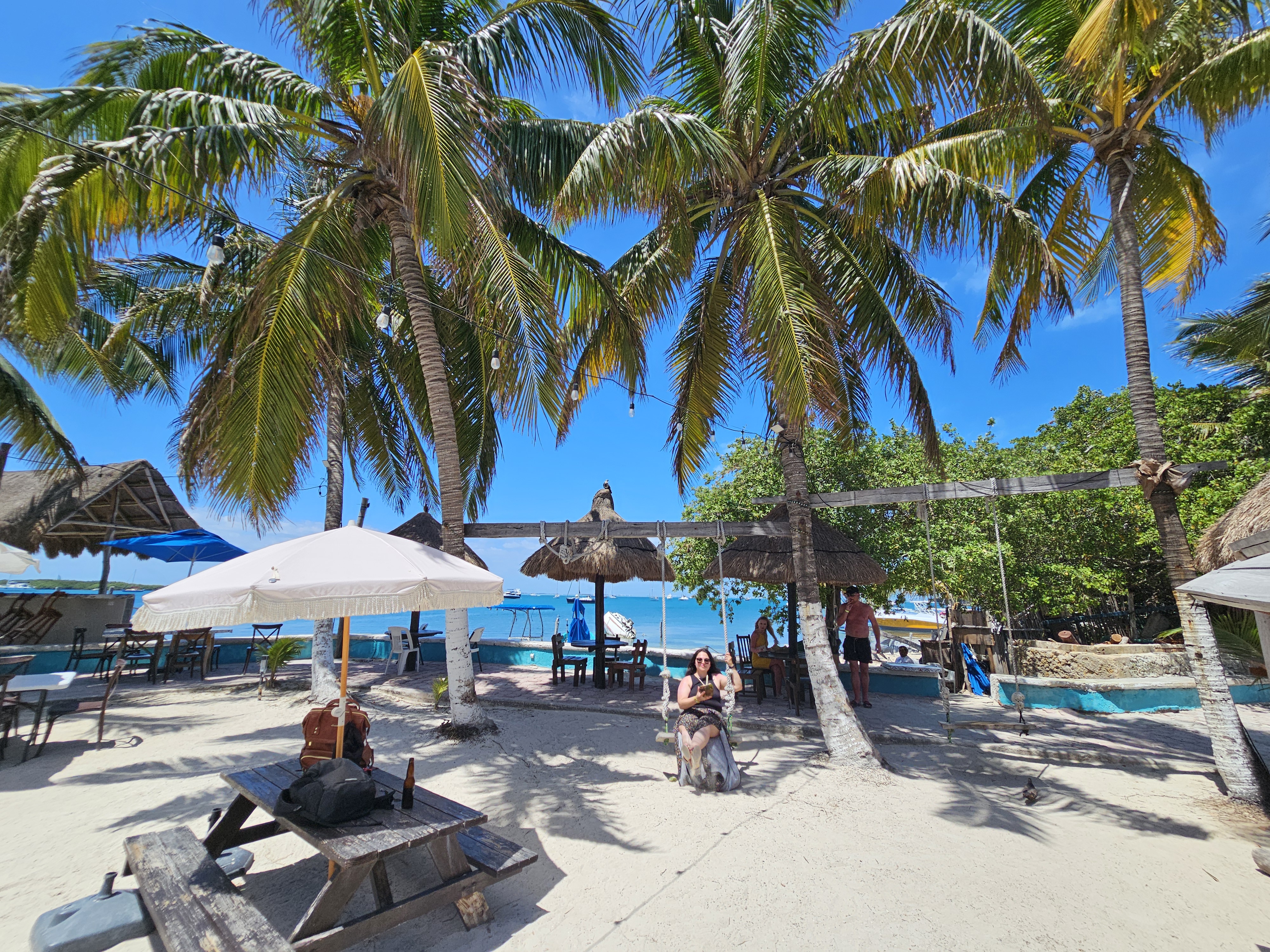 Great ceviche image 8