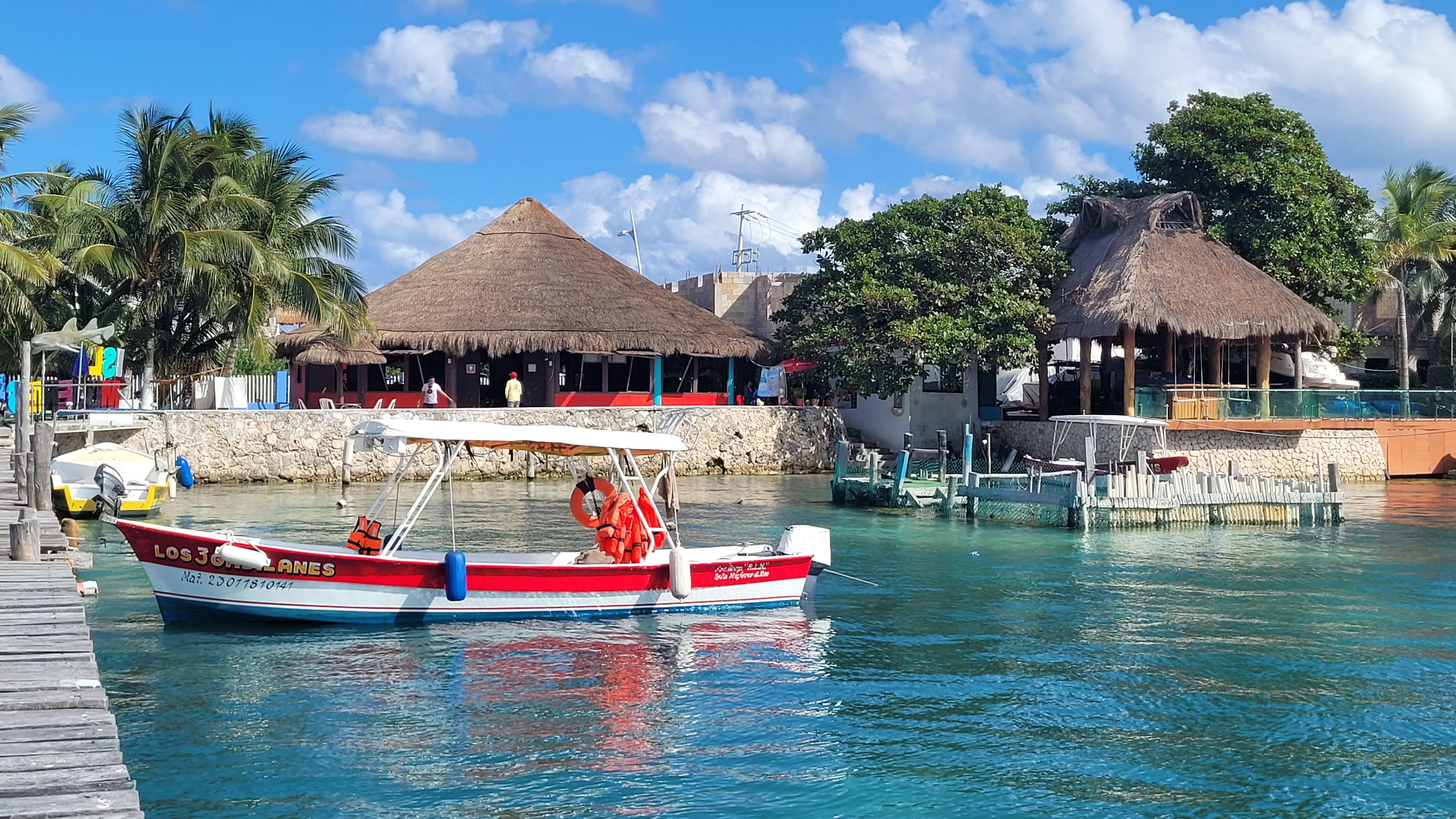 Great ceviche image 10