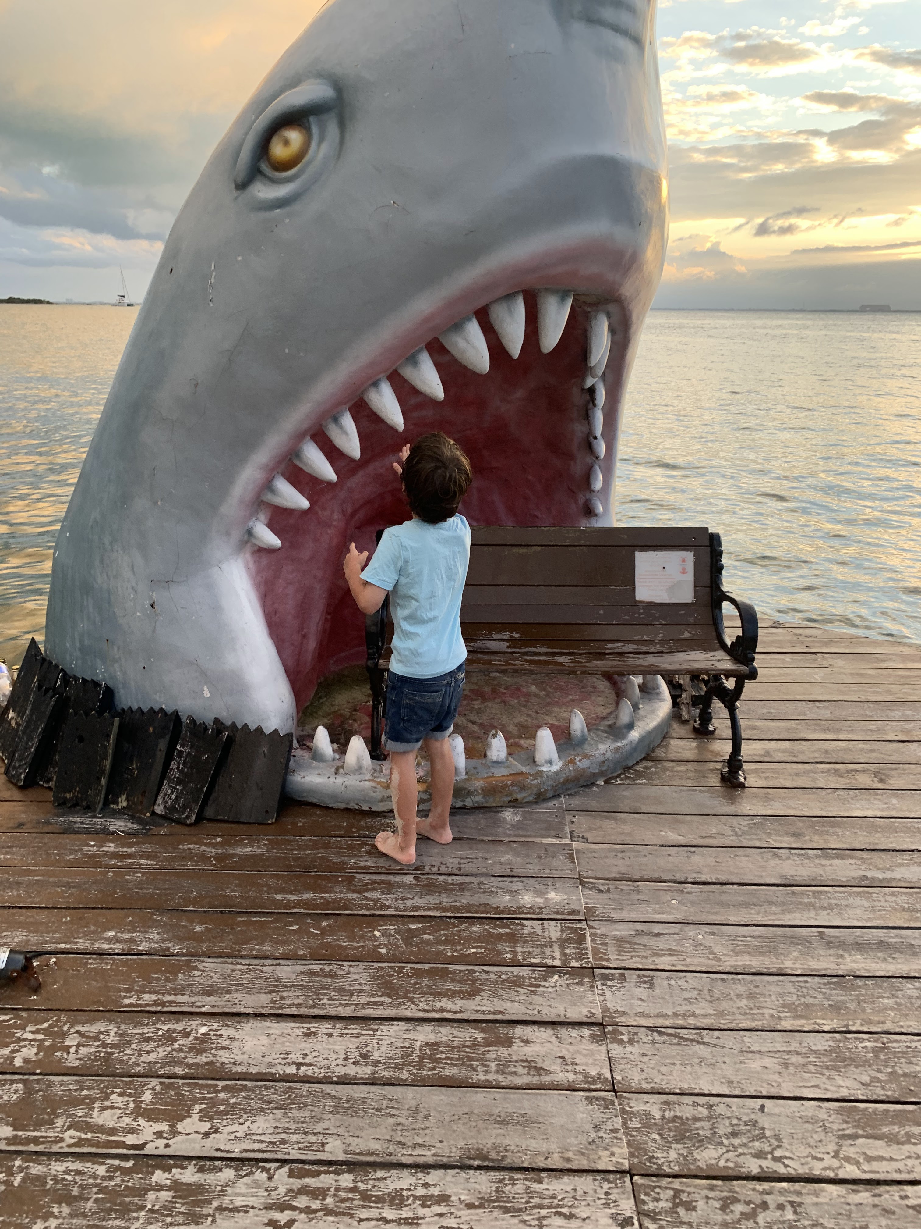 Restaurante Miramar Isla Mujeres image 3