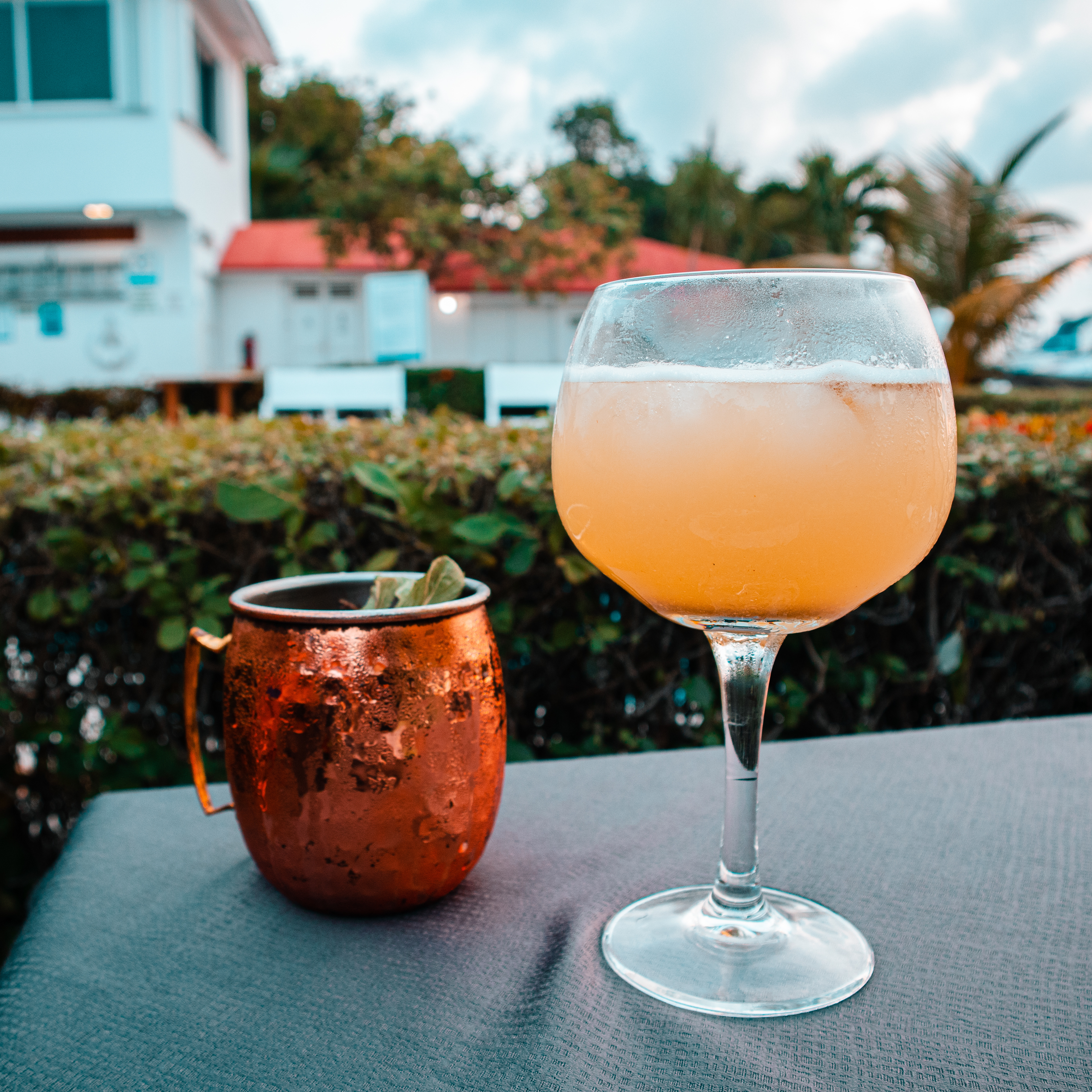 Xcatik Restaurant image 7