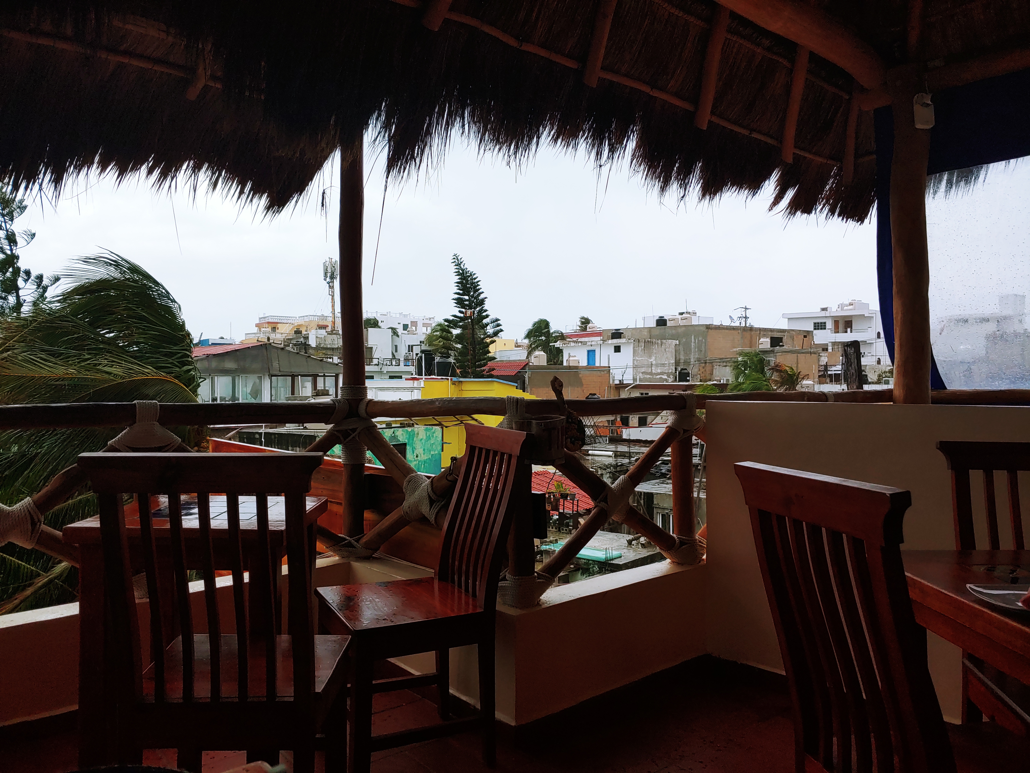 Rosa Sirenas image 1