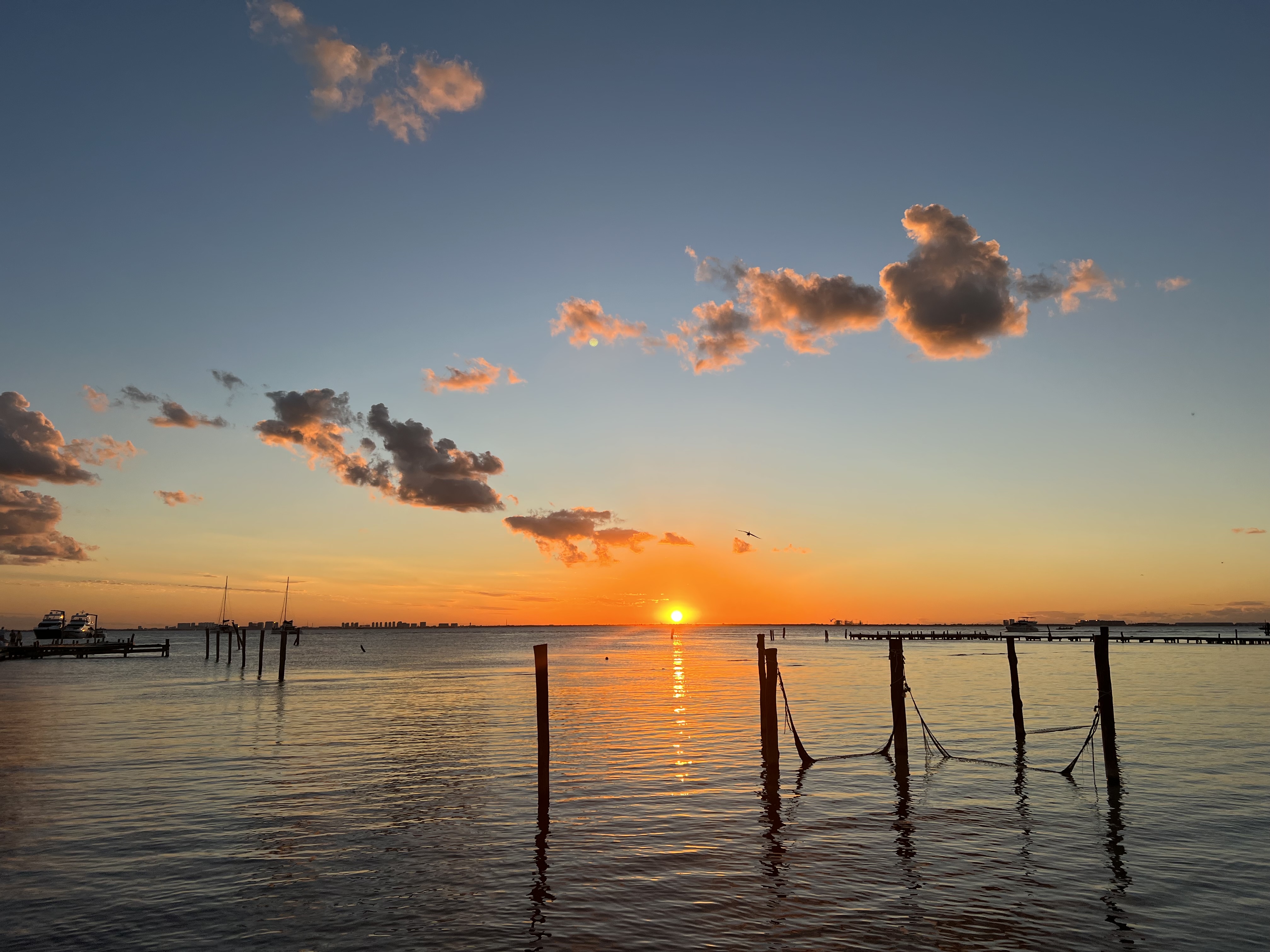 Marbella Fish Market and Raw Bar image 4