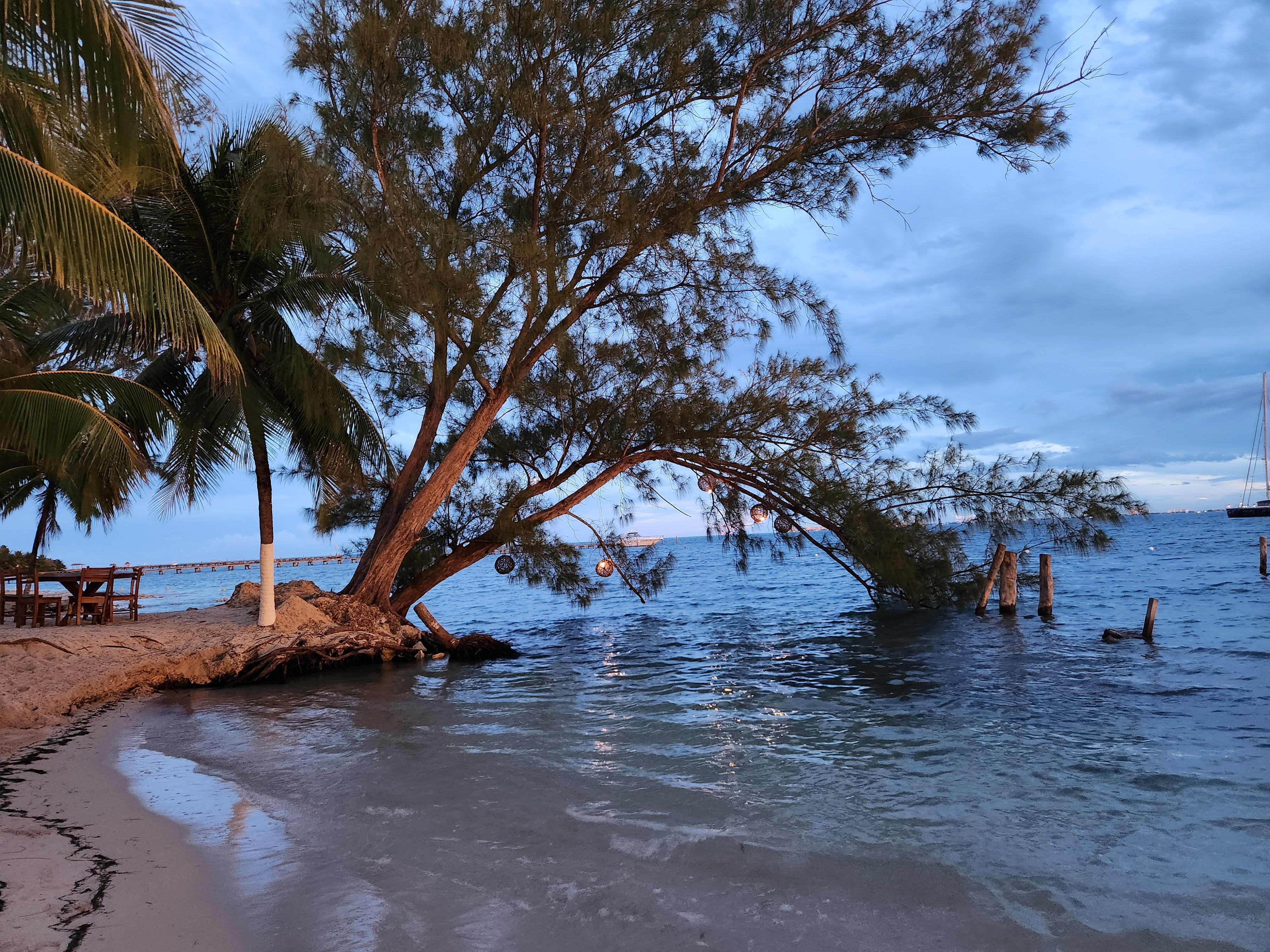 Marbella Fish Market and Raw Bar image 6
