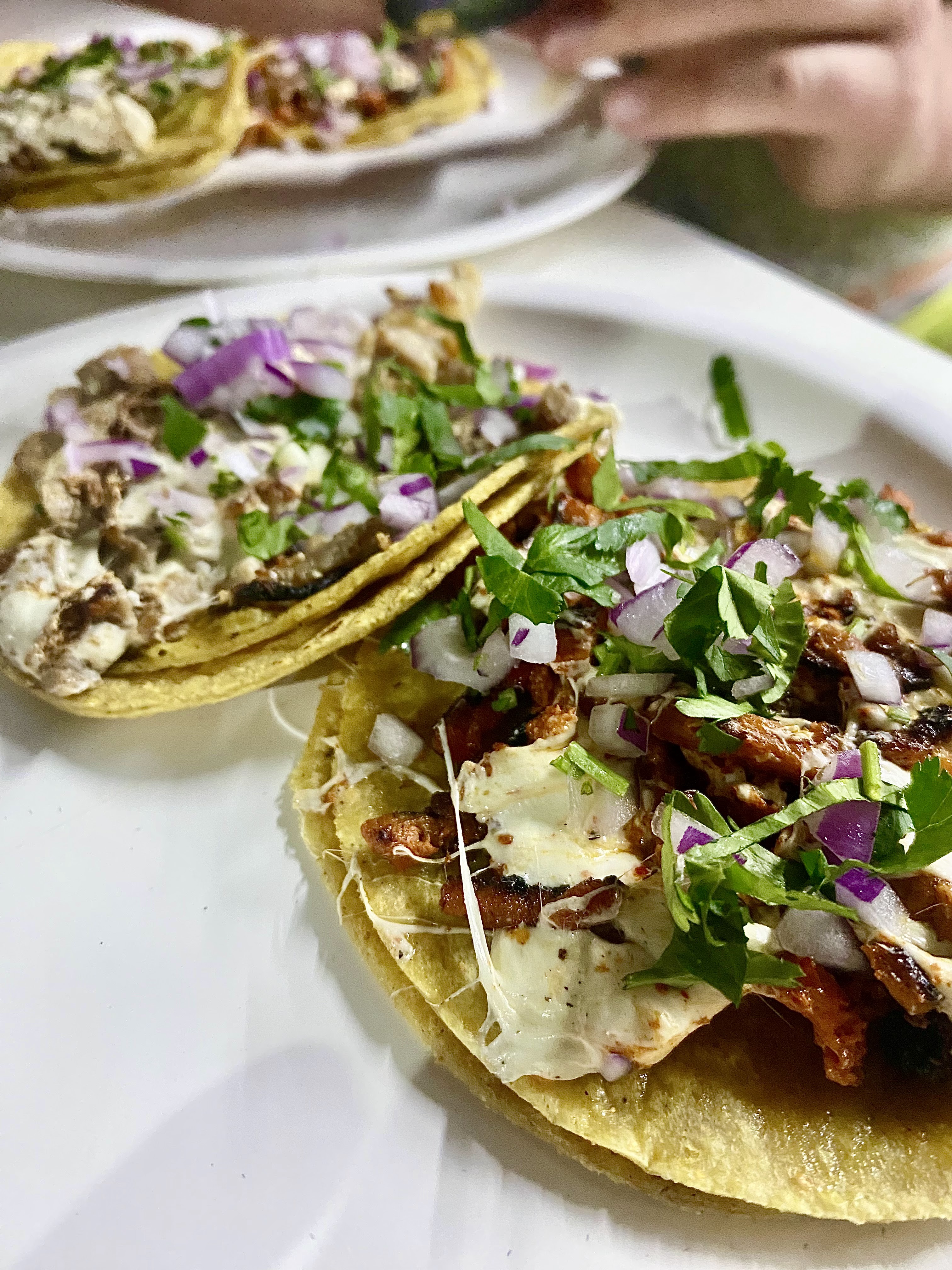 Taqueria Erika image 7