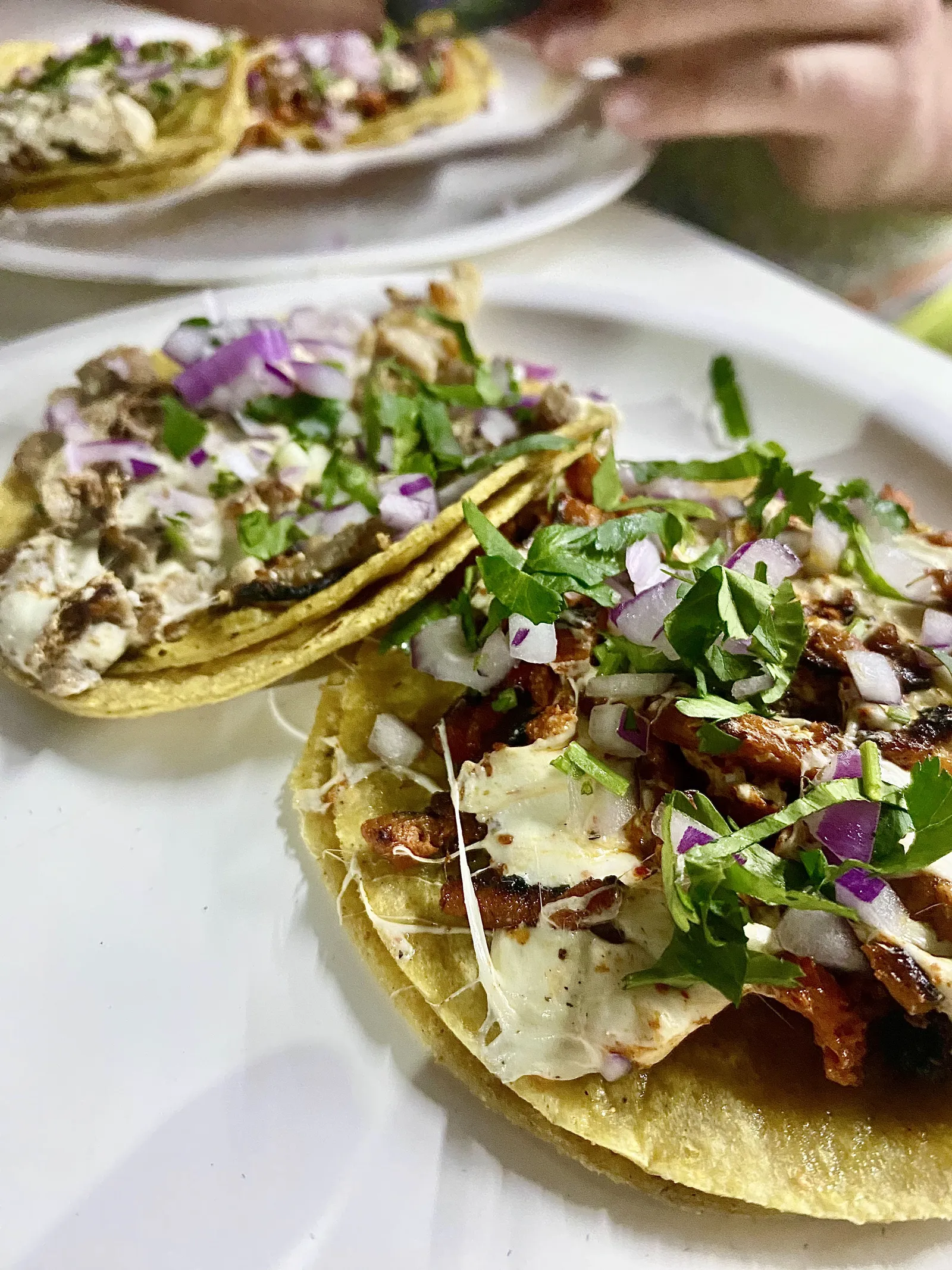 Taqueria Erika image 7