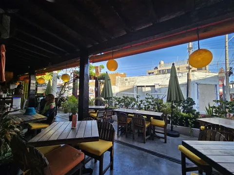 Café Mogagua image 7