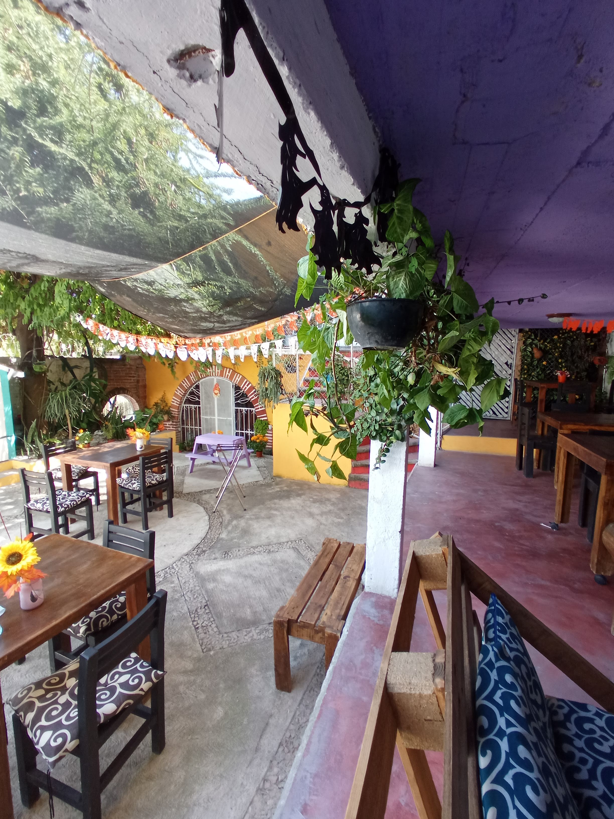 La Casa de María image 1