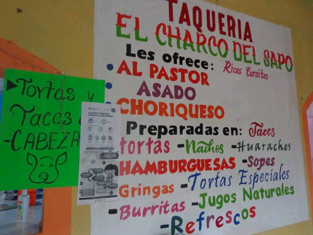 Taqueria El Charco del Sapo image 1