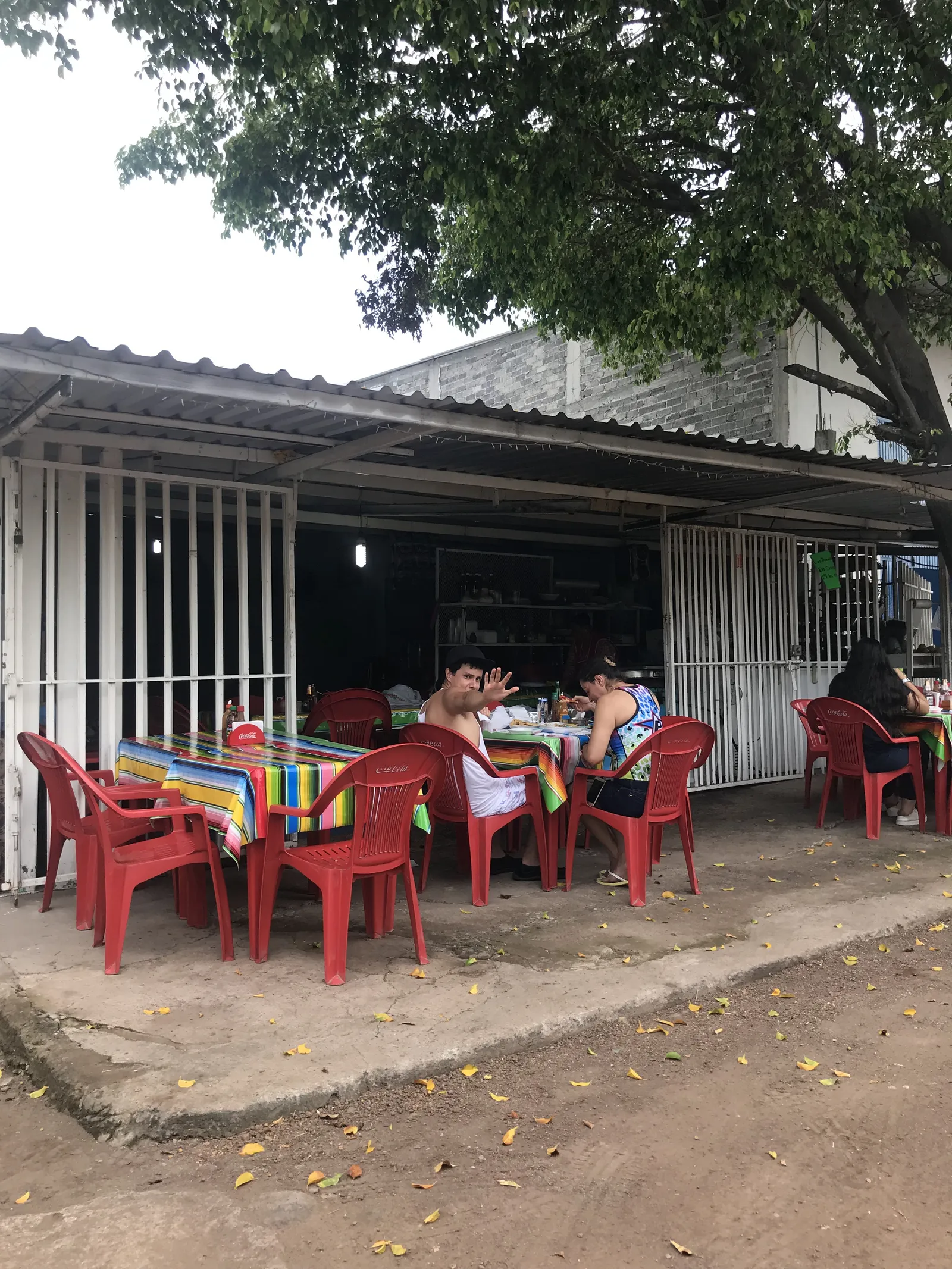 Doraditos Villa image 4