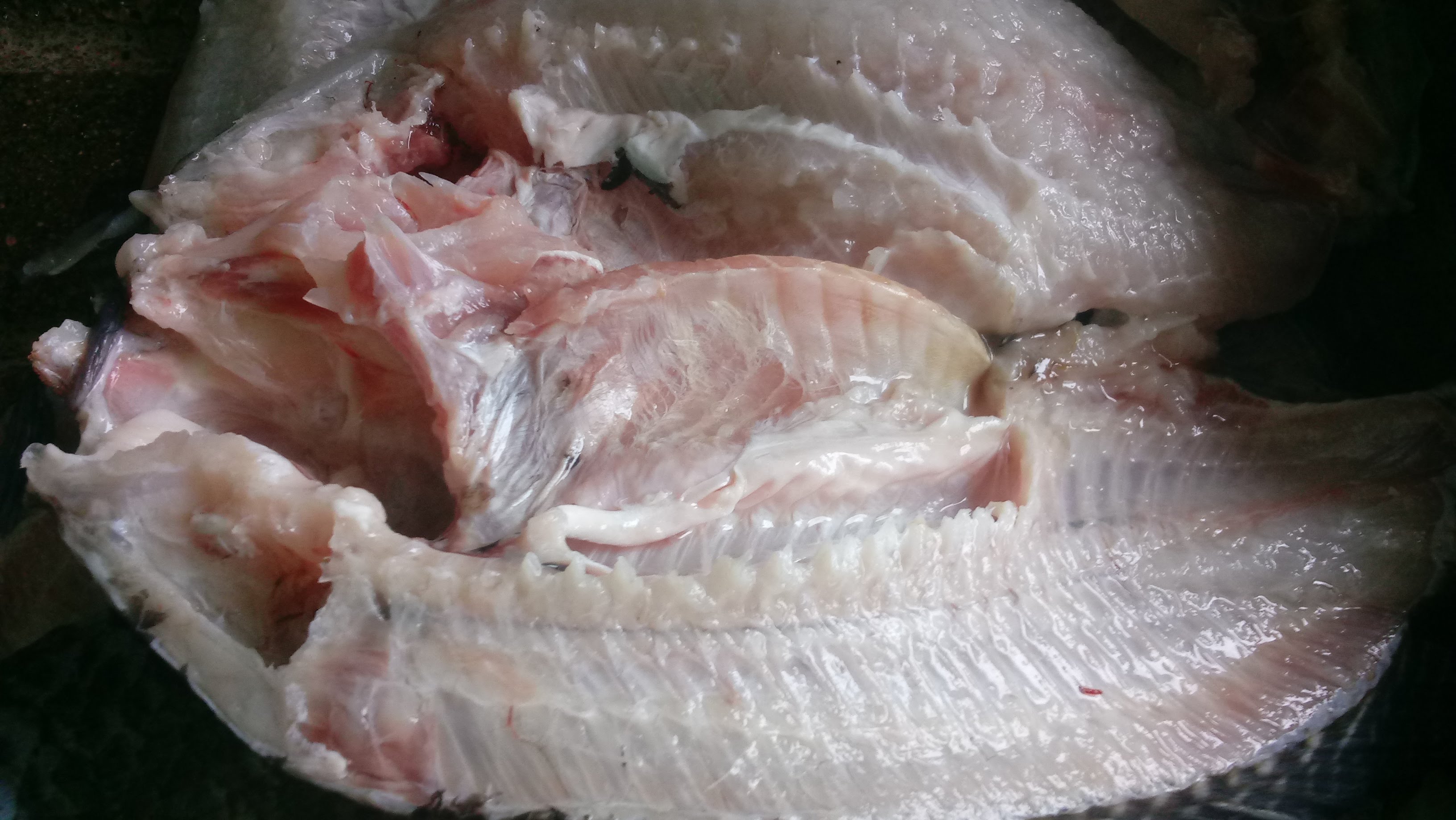 Doraditos Villa image 9