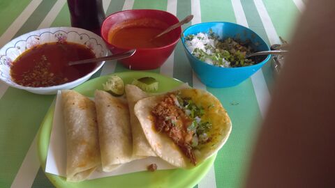 Taqueria El Taconazo image 8
