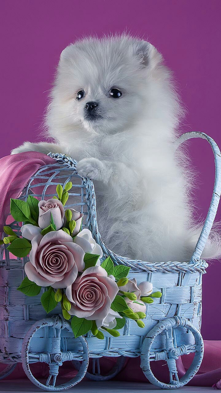 TACOS EL PARIENTE image 4