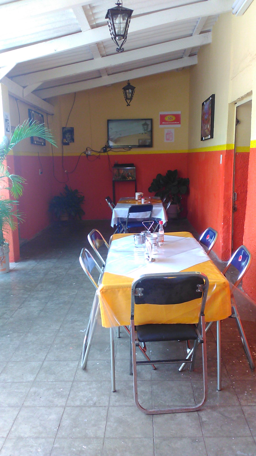 TotoRico image 5