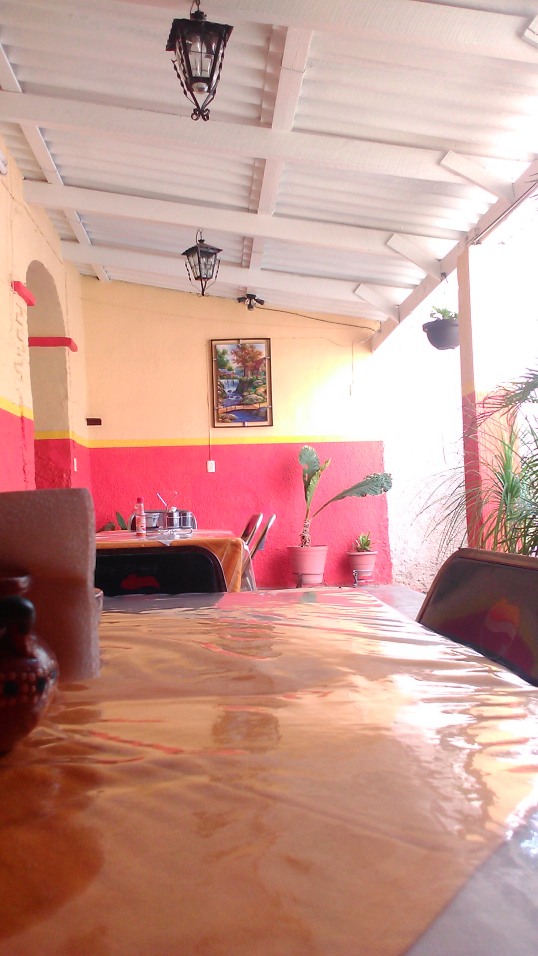 TotoRico image 6