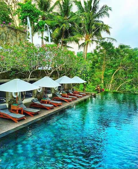 Don Pulpo Pescados & Mariscos image 8