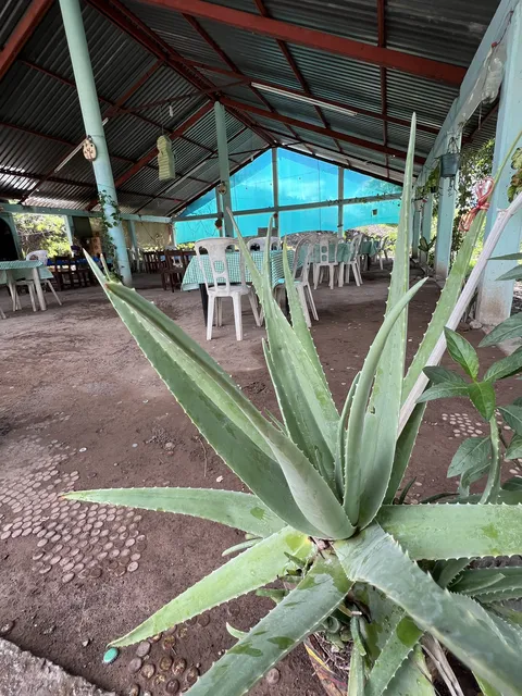 Botanero Familiar El Puente De Las Iguanas image 5