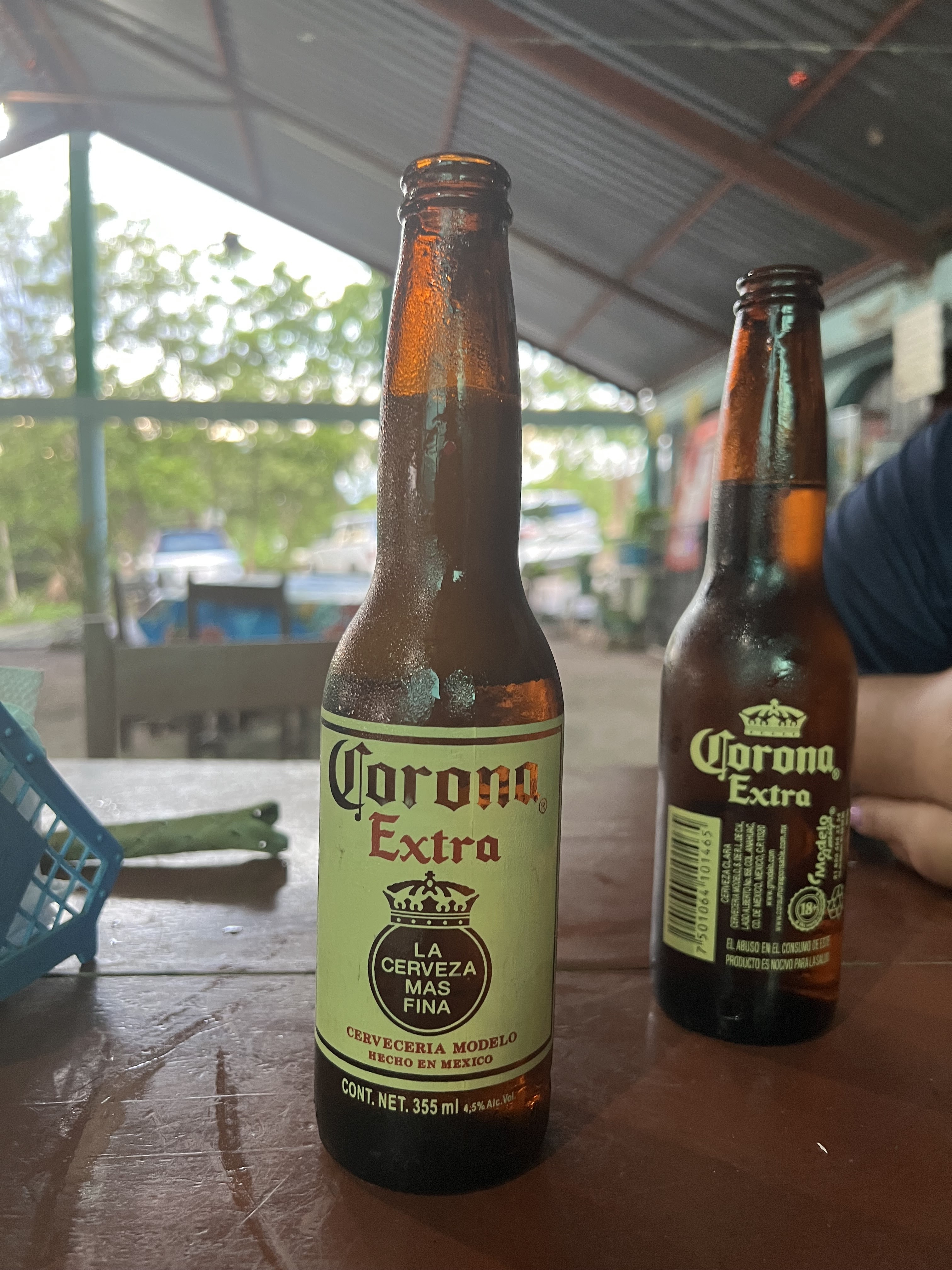 Botanero Familiar El Puente De Las Iguanas image 10