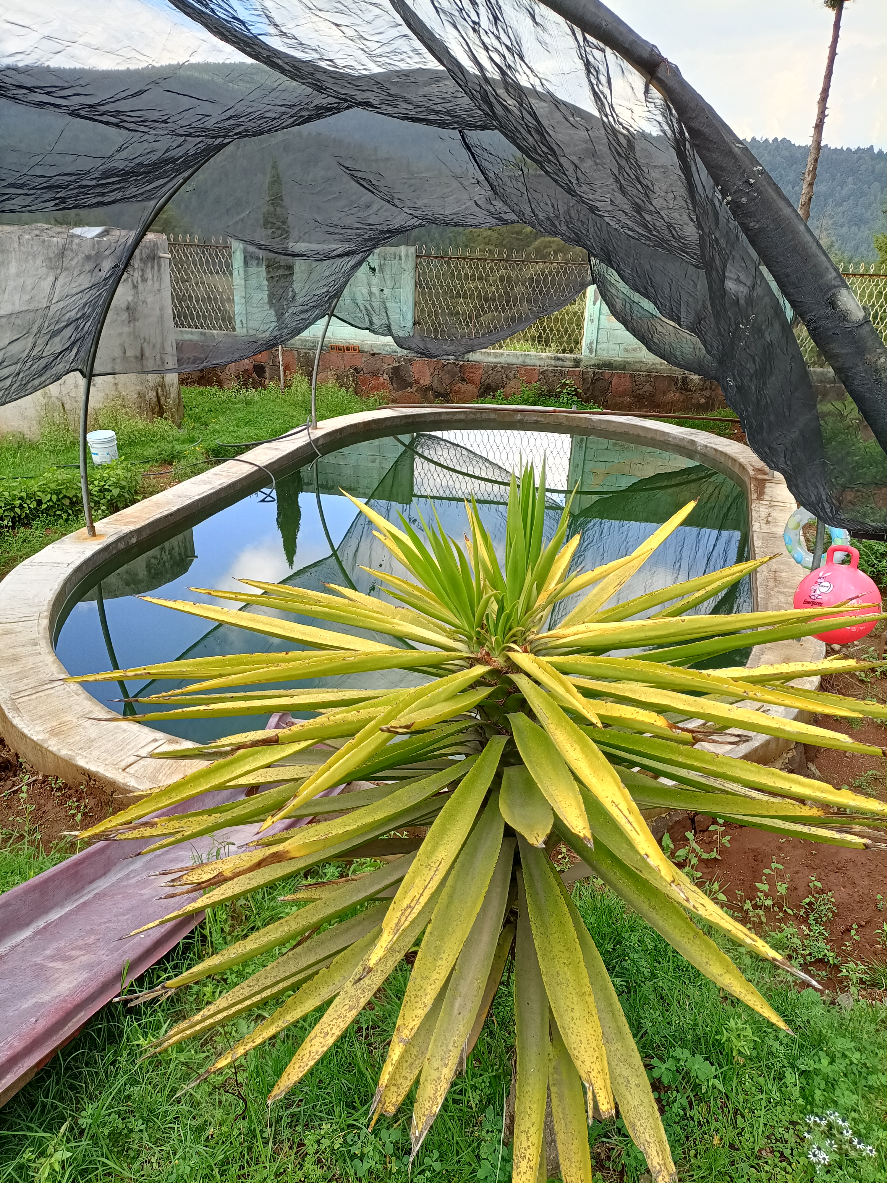 Salón de fiestas "Rancho los Morales " image 4