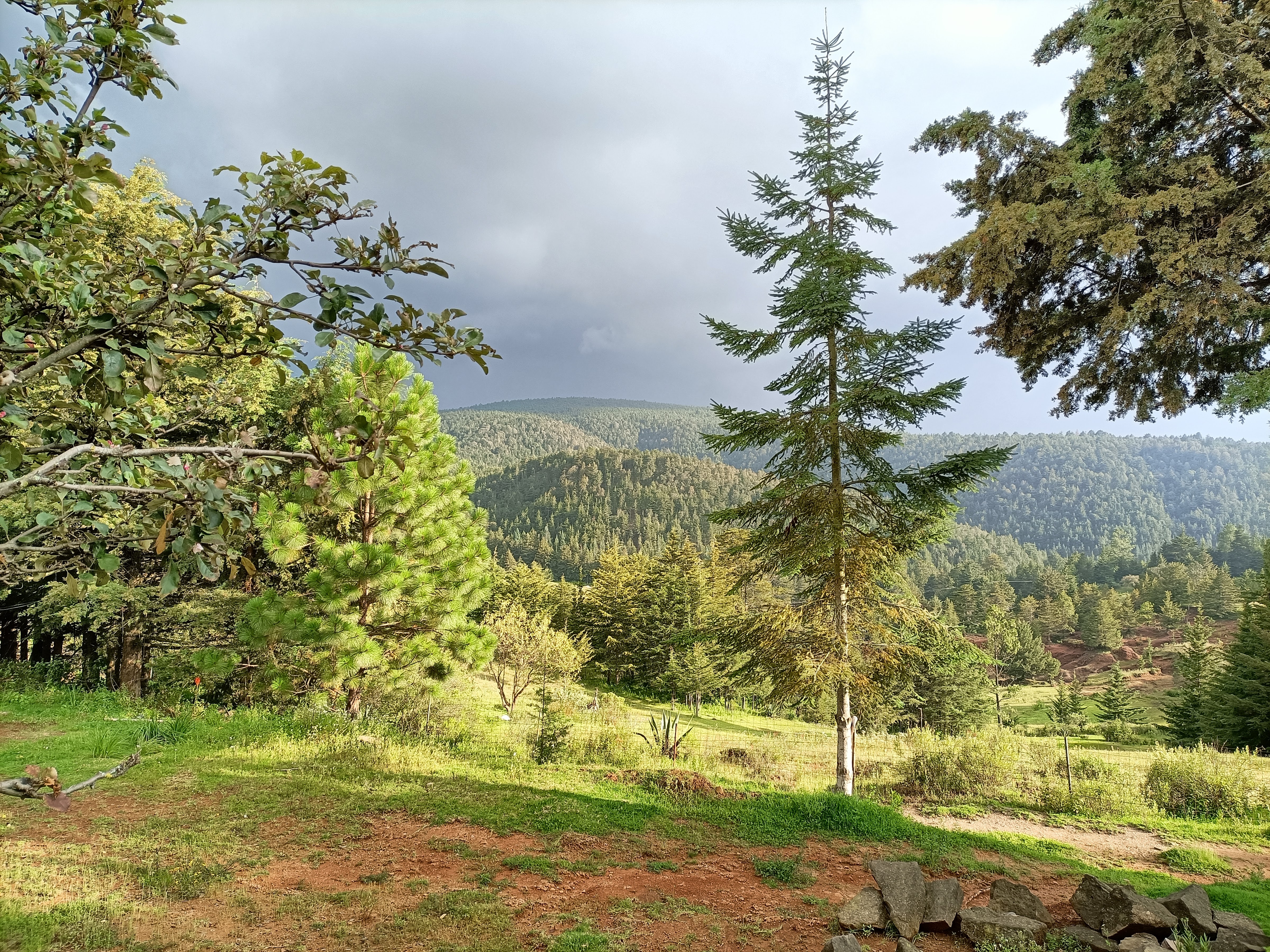 Salón de fiestas "Rancho los Morales " image 8