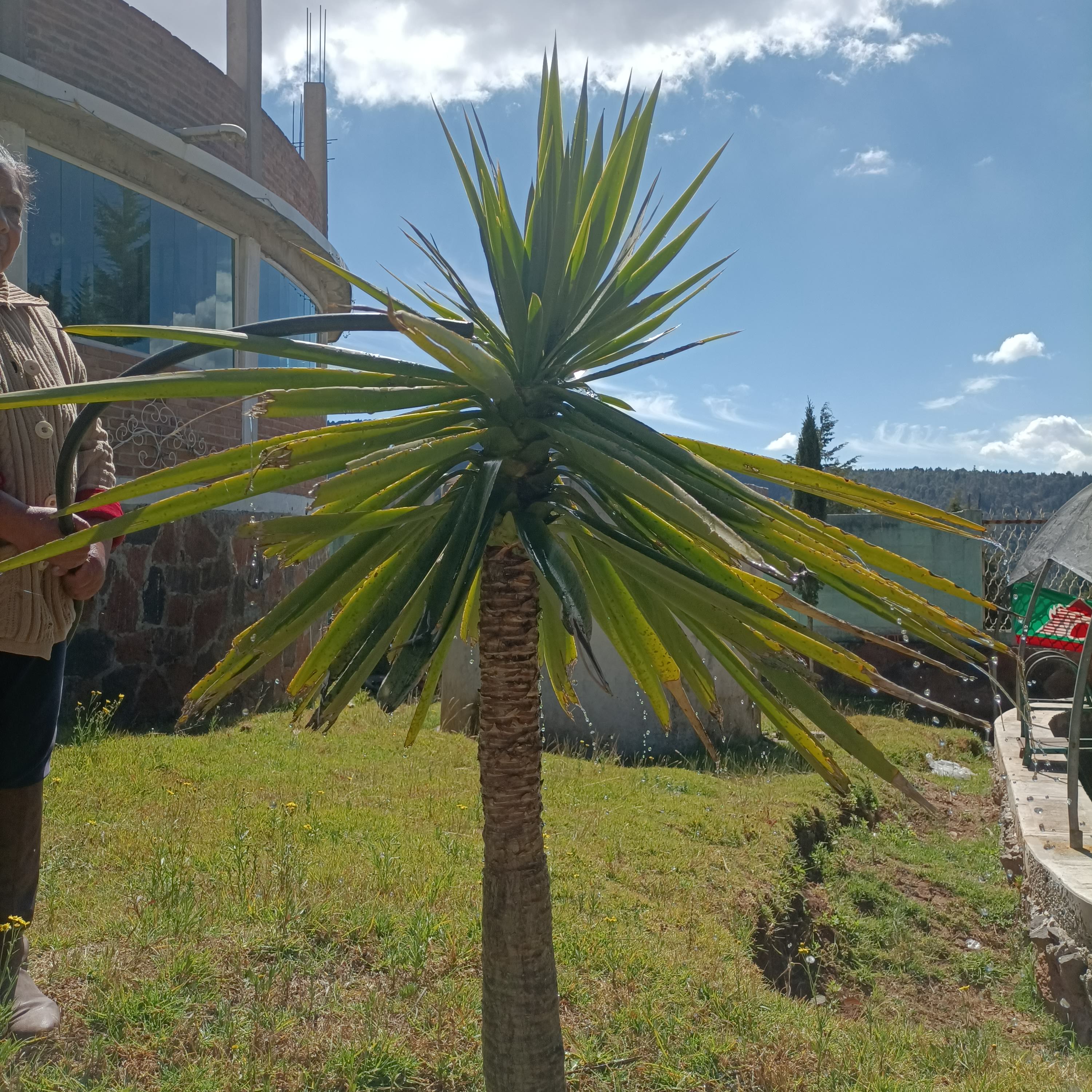 Salón de fiestas "Rancho los Morales " image 10