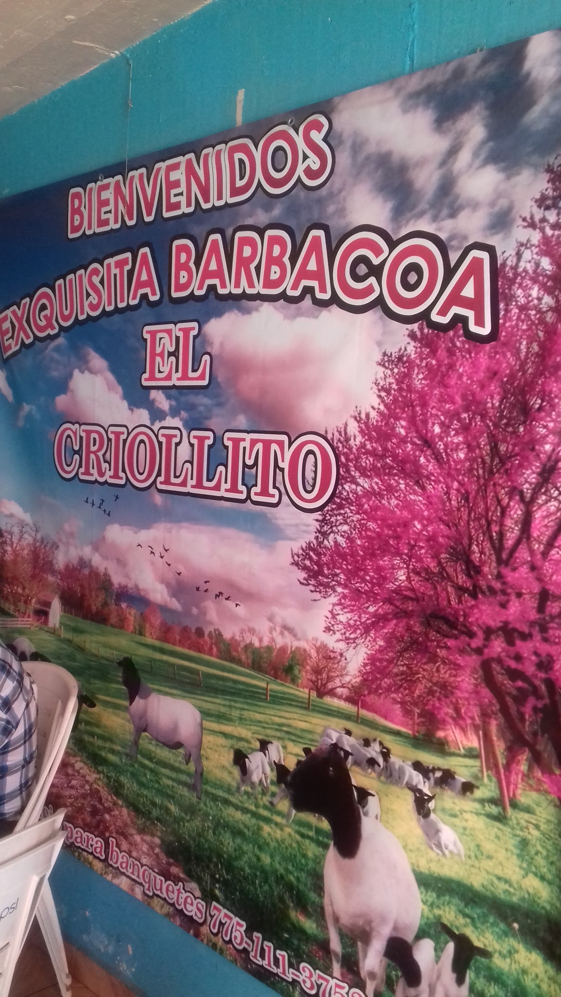 Barbacoa "El Criollito" image 10