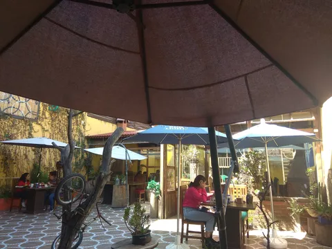 RUEDA MADERA image 4