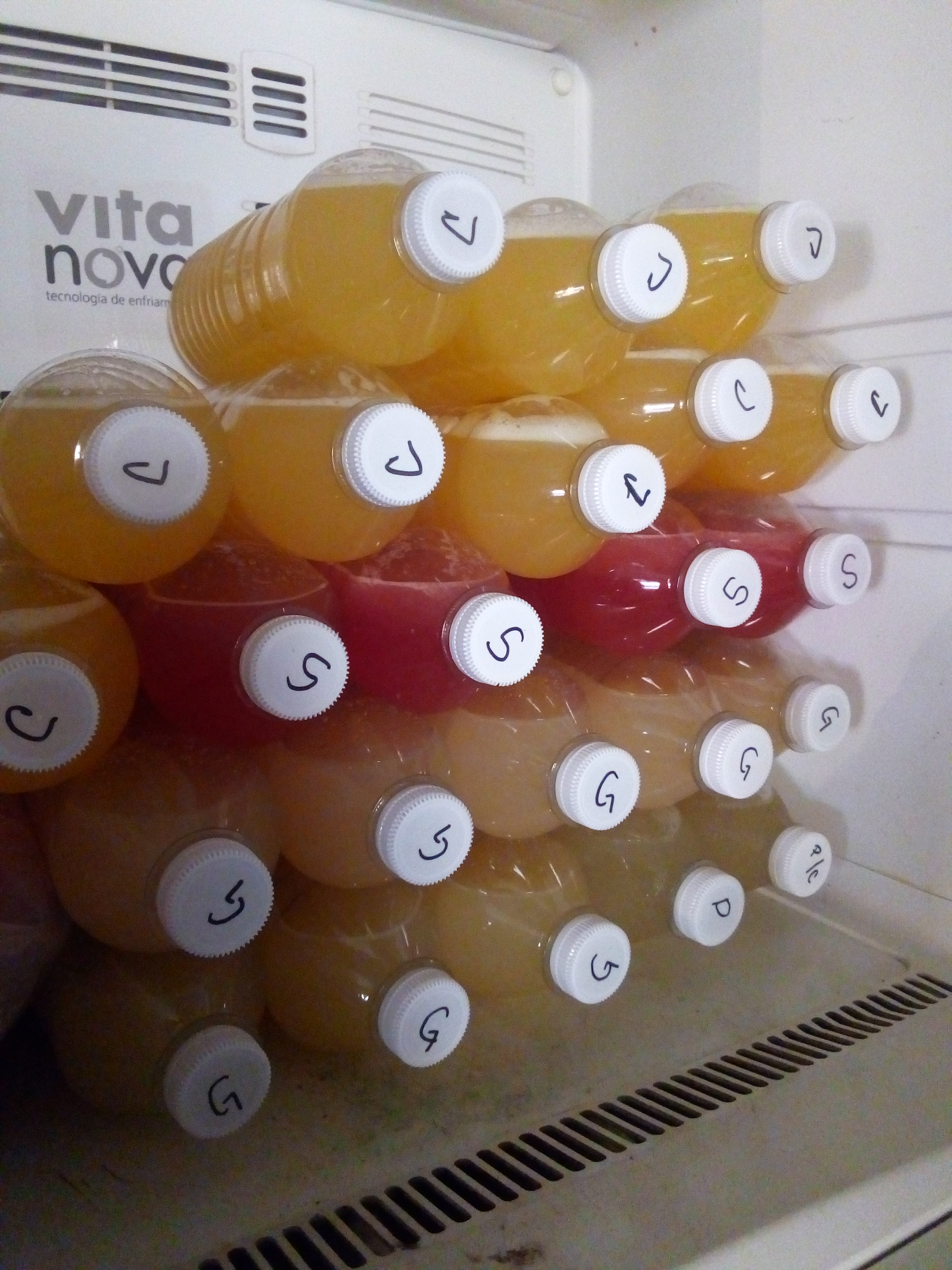 Antojitos mexicanos Max image 3