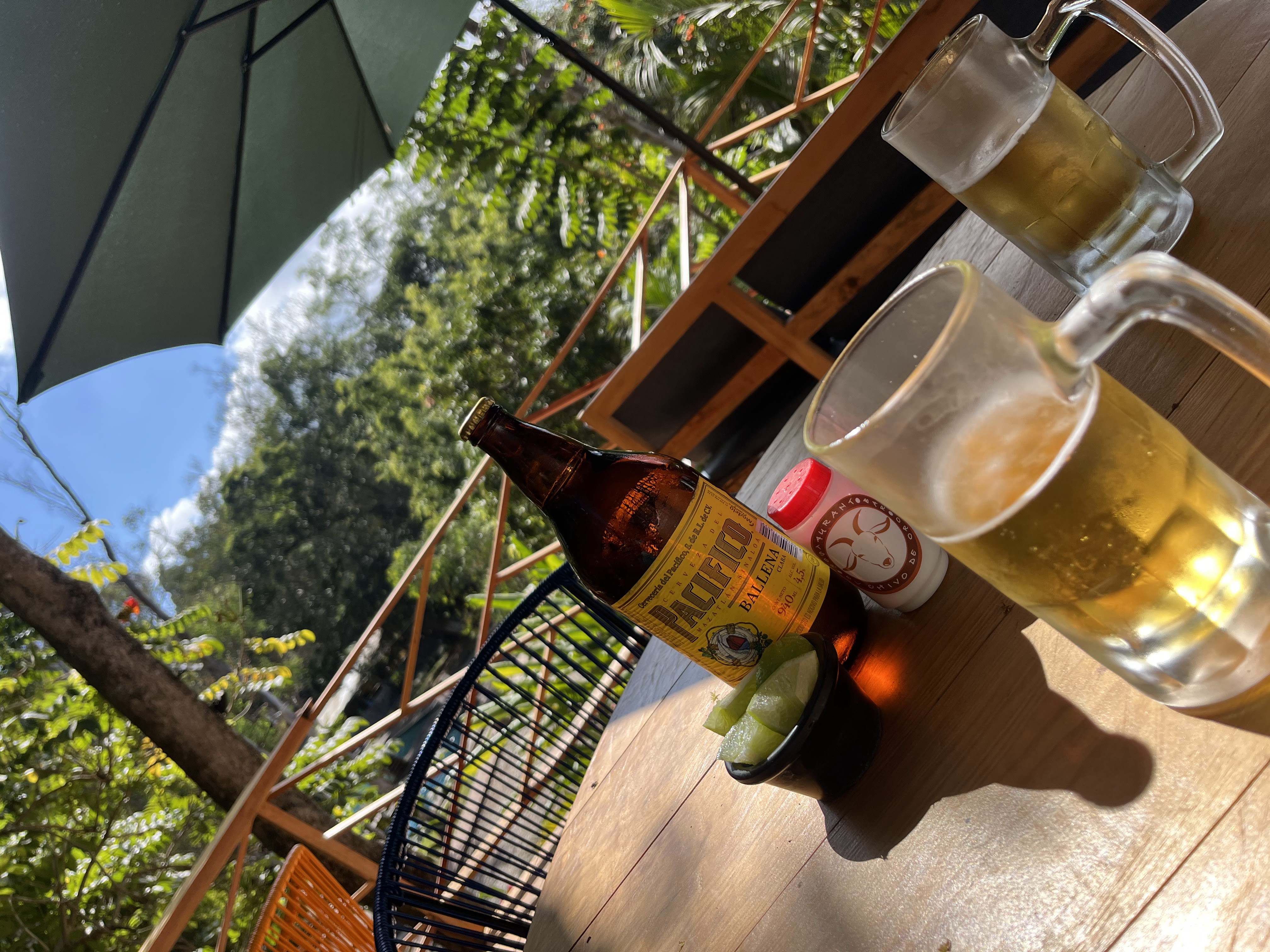 Chivo de oro image 10