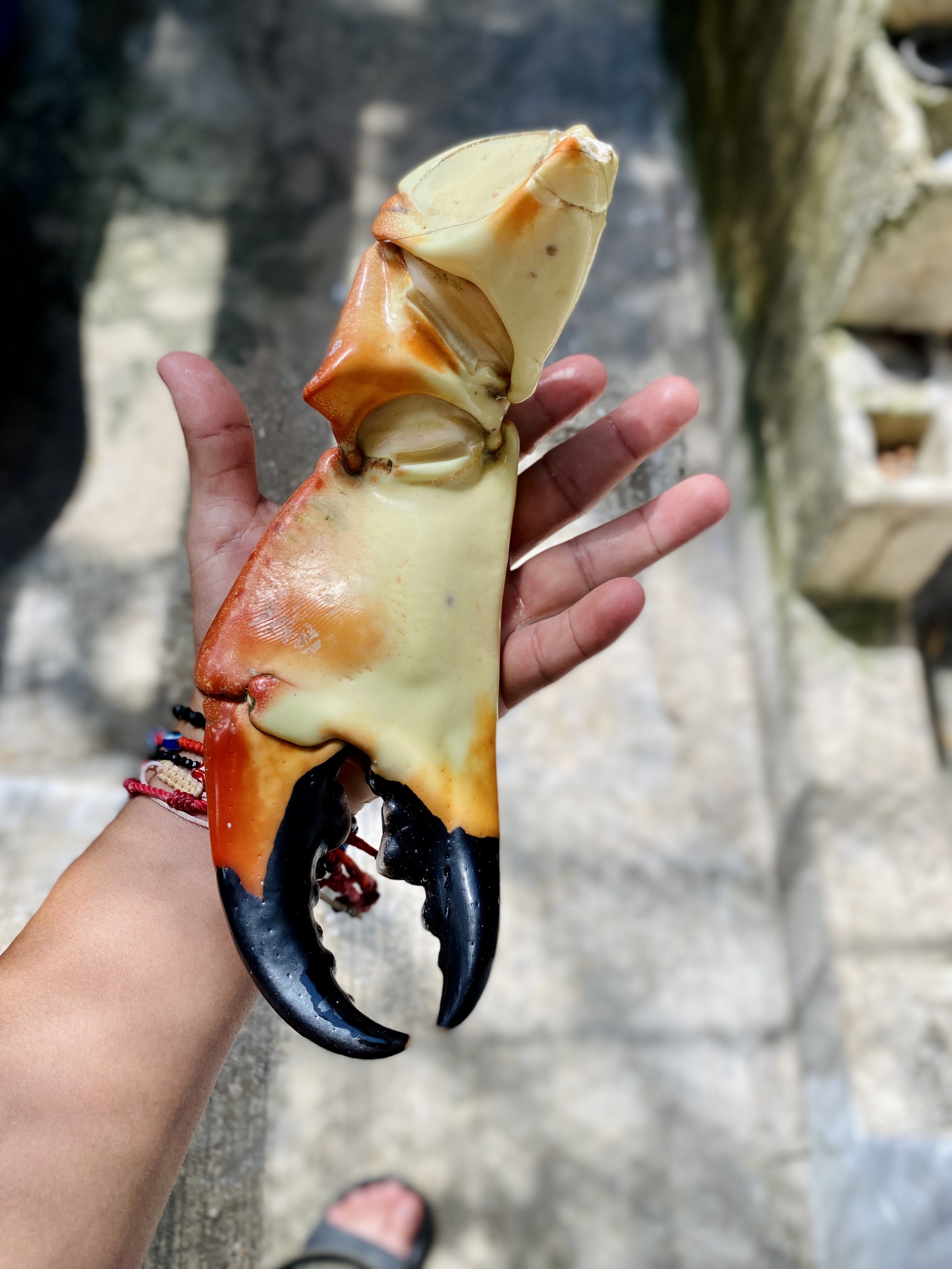 Cokteleria LA OSTRA image 10