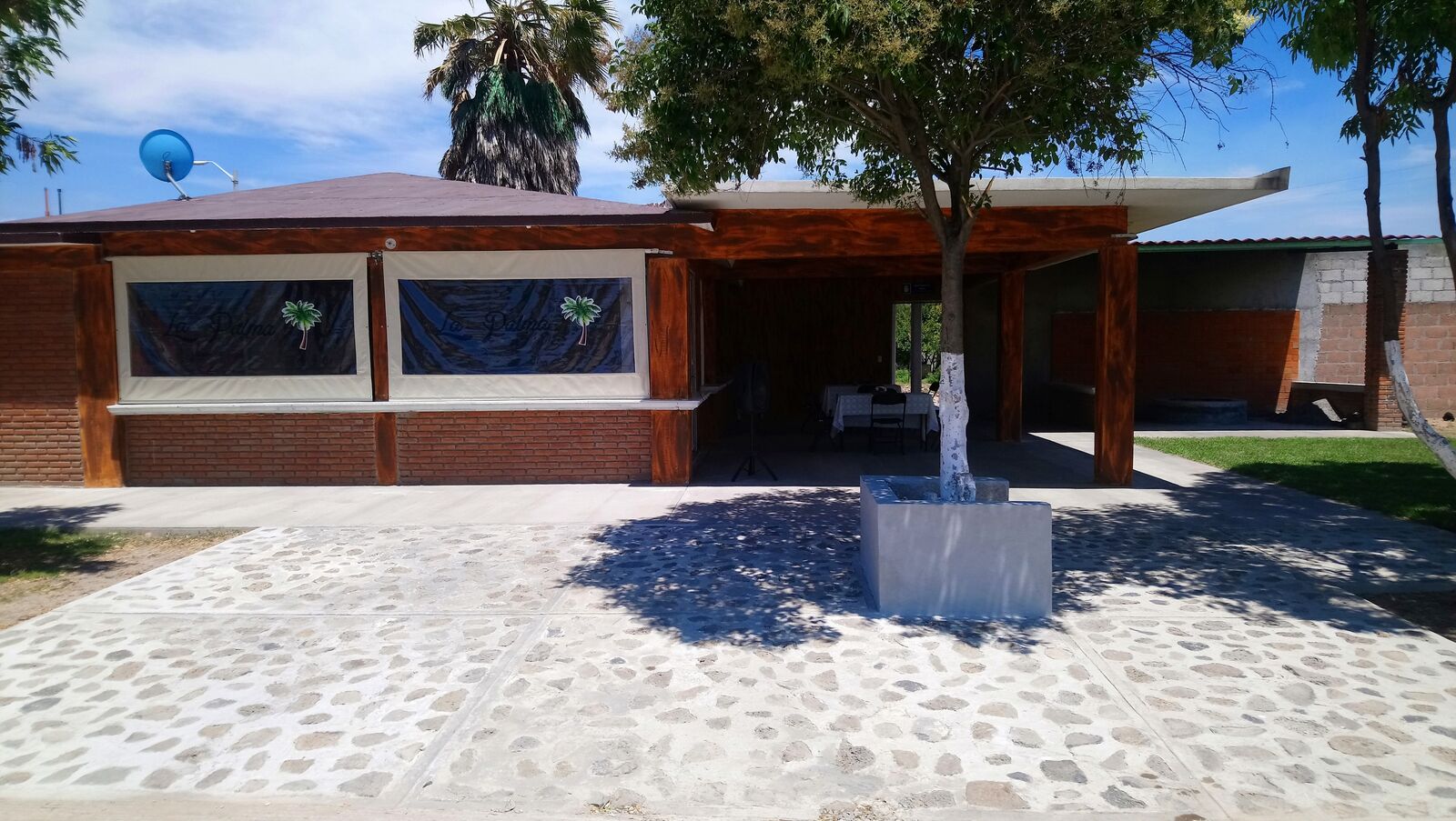 La Palma image 4