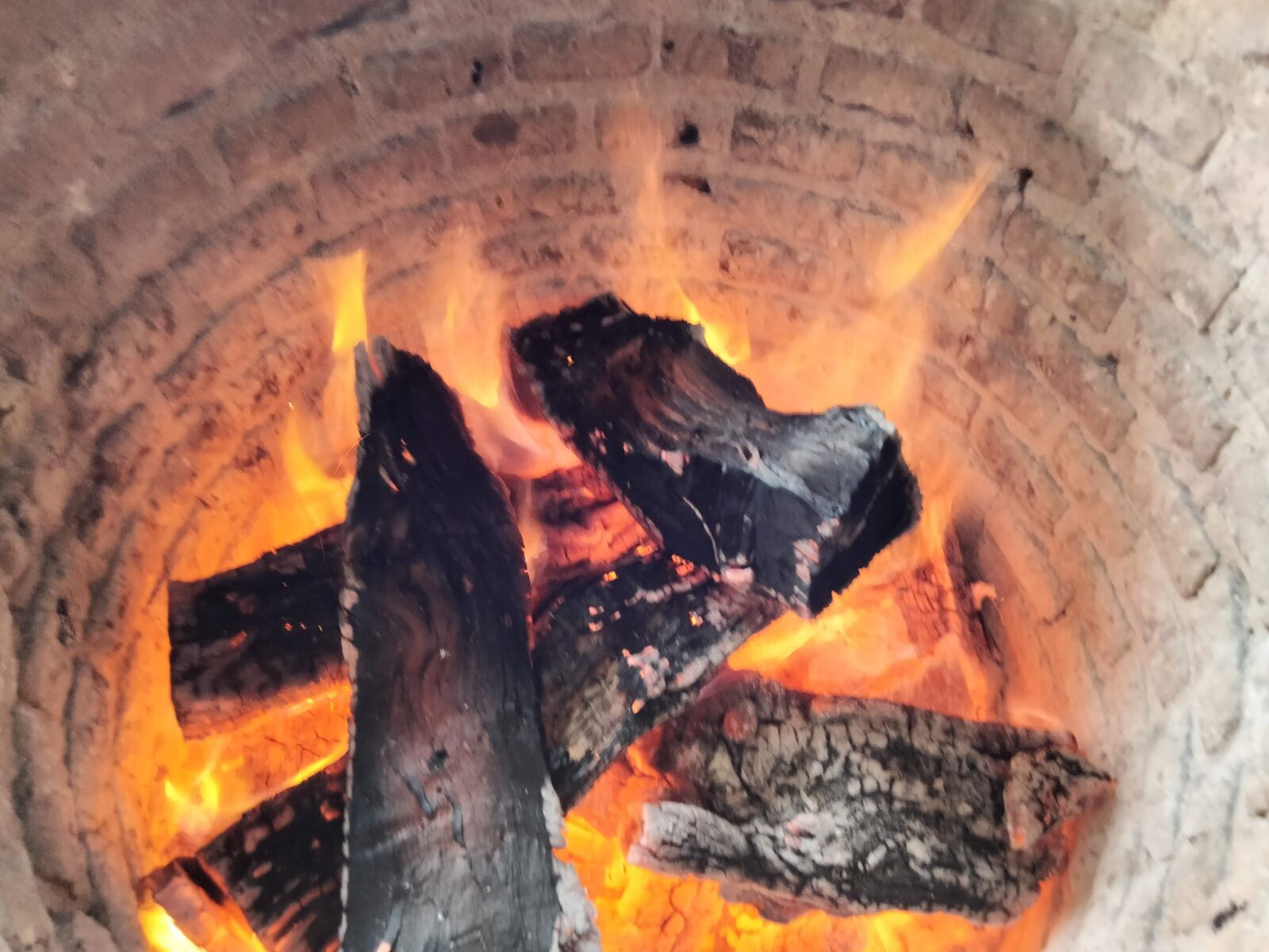 Barbacoa Oaxtepec image 10