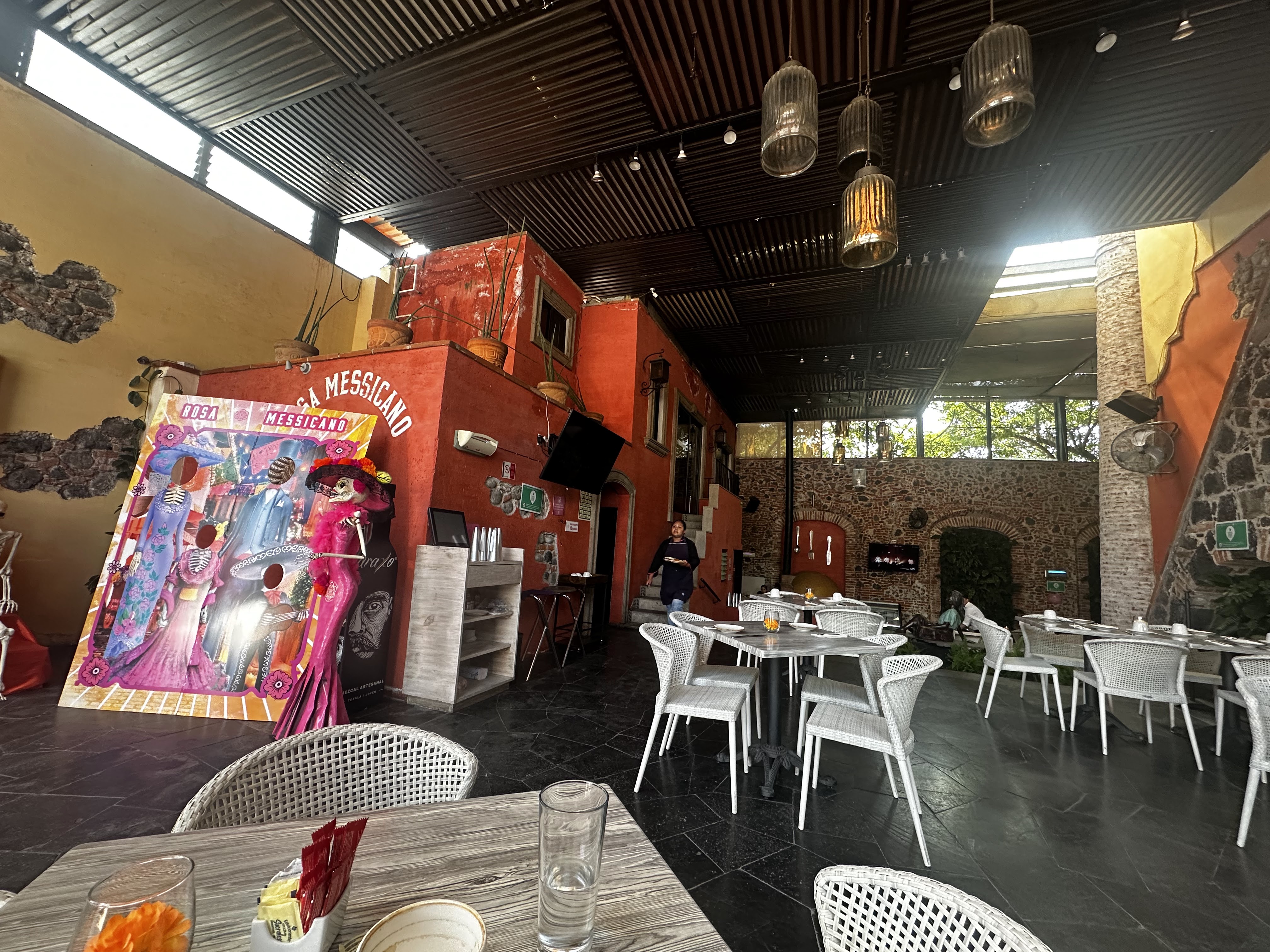 Rosa Messicano image 4