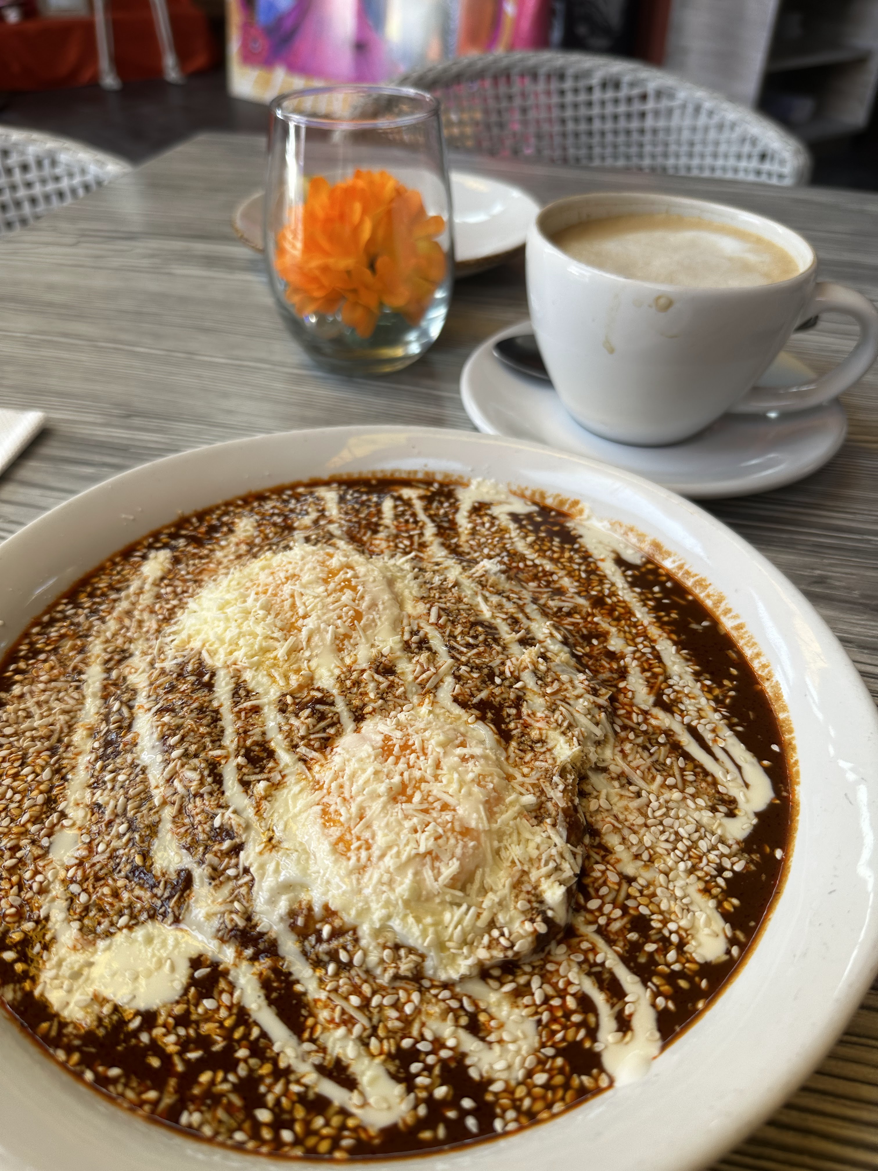 Rosa Messicano image 8