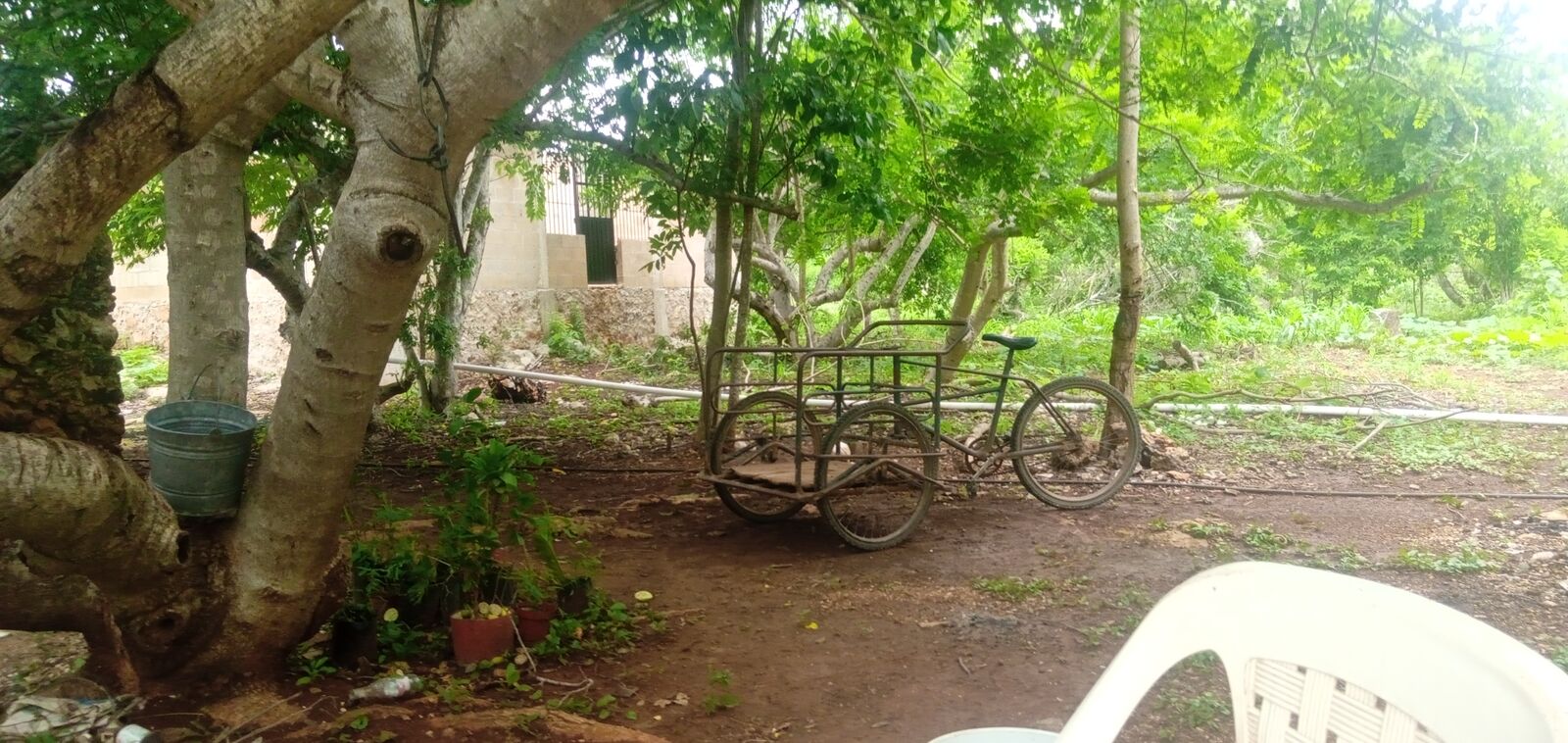 Mesón santa Rosa image 2