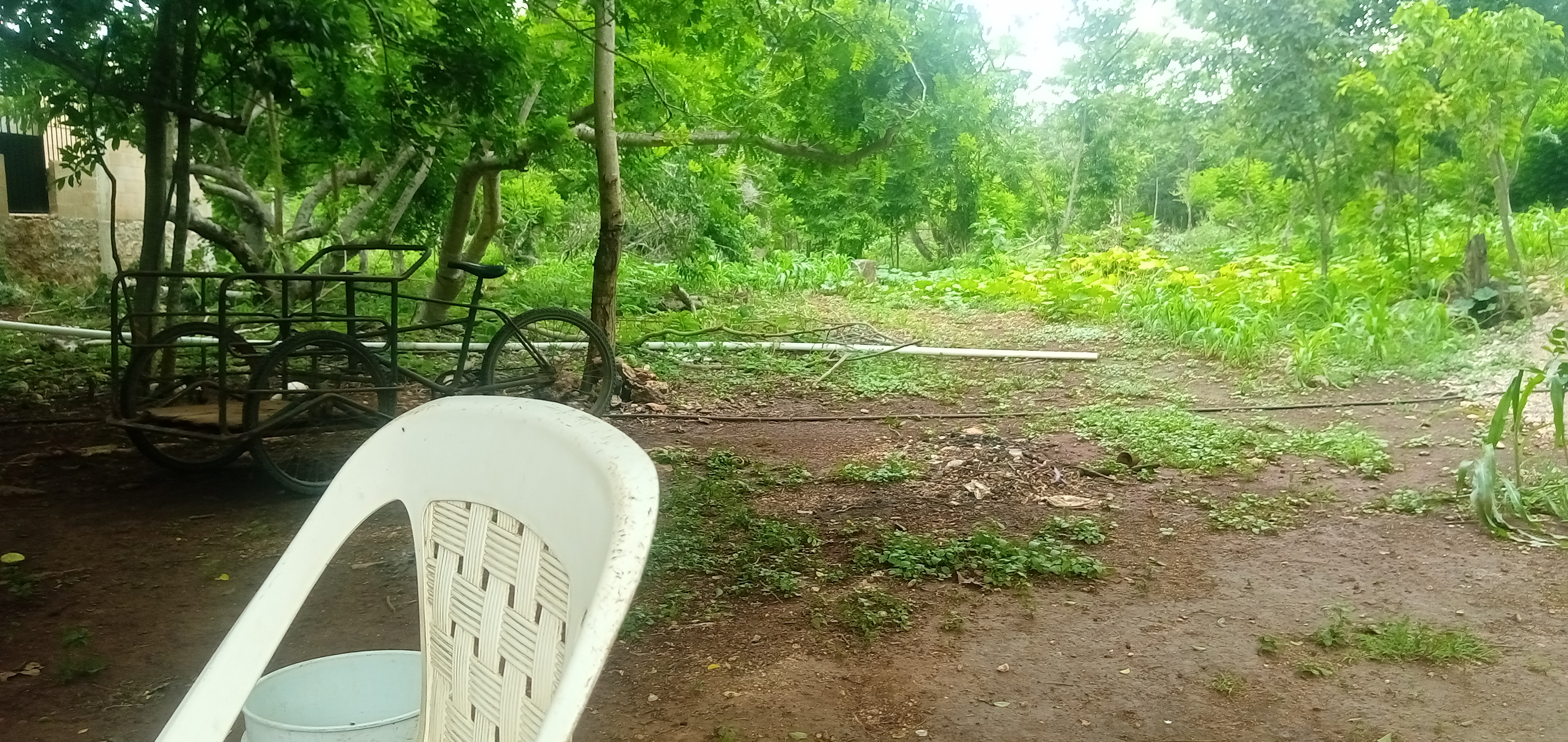 Mesón santa Rosa image 5