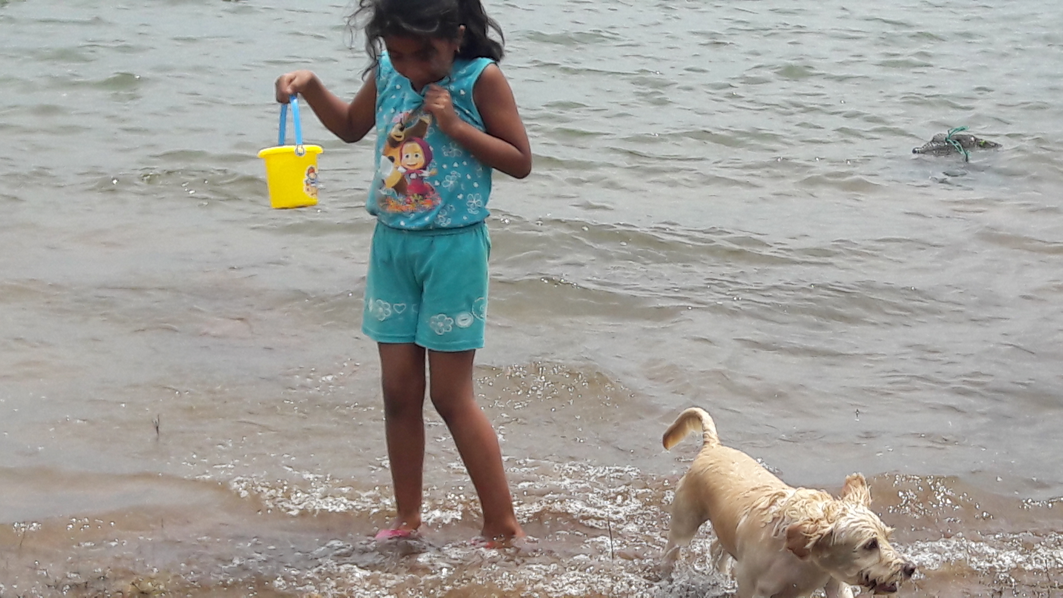 La Punta Buena Vista image 9