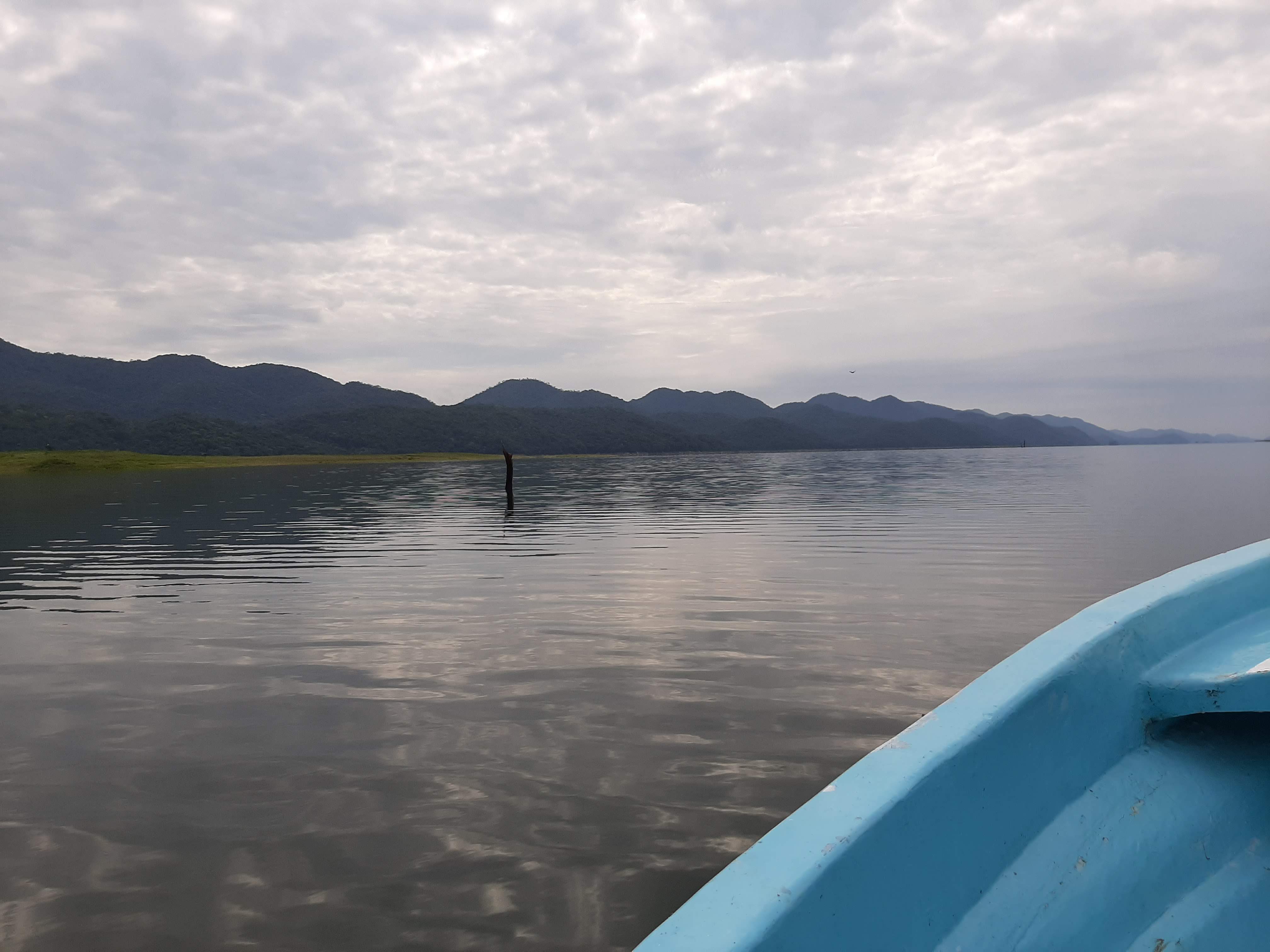 La Punta Buena Vista image 10