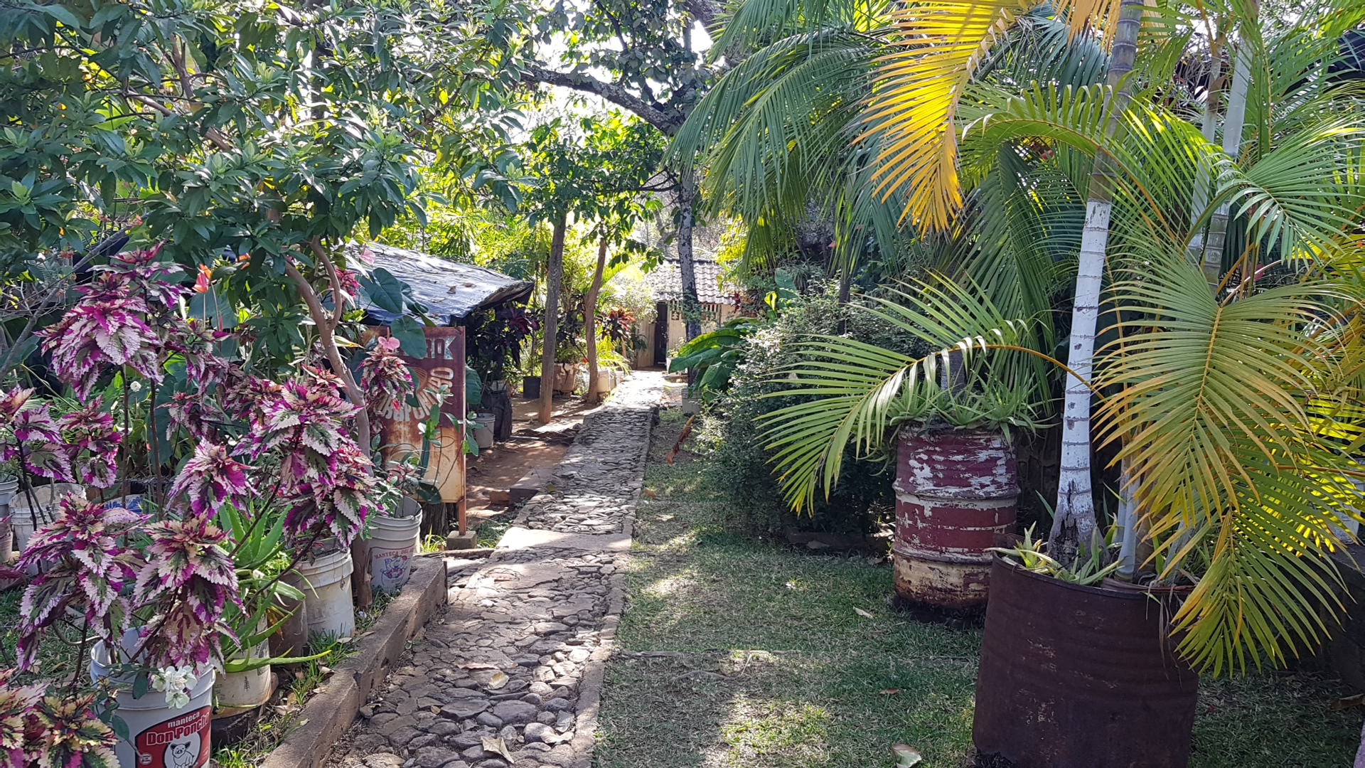 Mole Orapondiro image 4