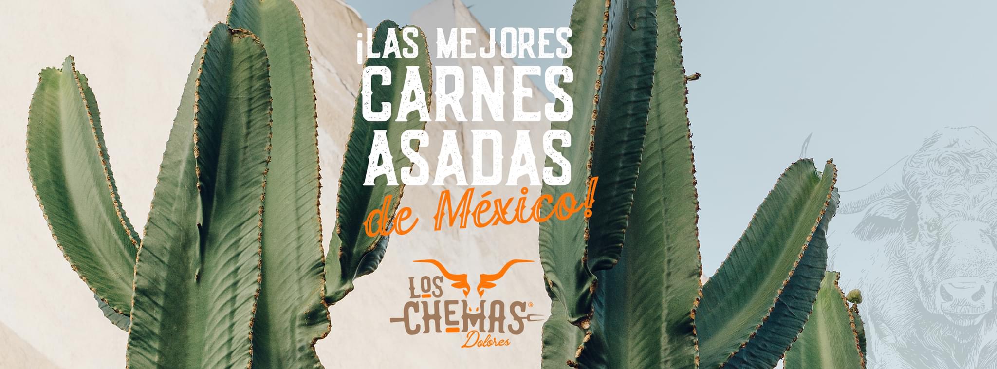 Carnes Asadas Los Chemas Dolores Hidalgo image 3