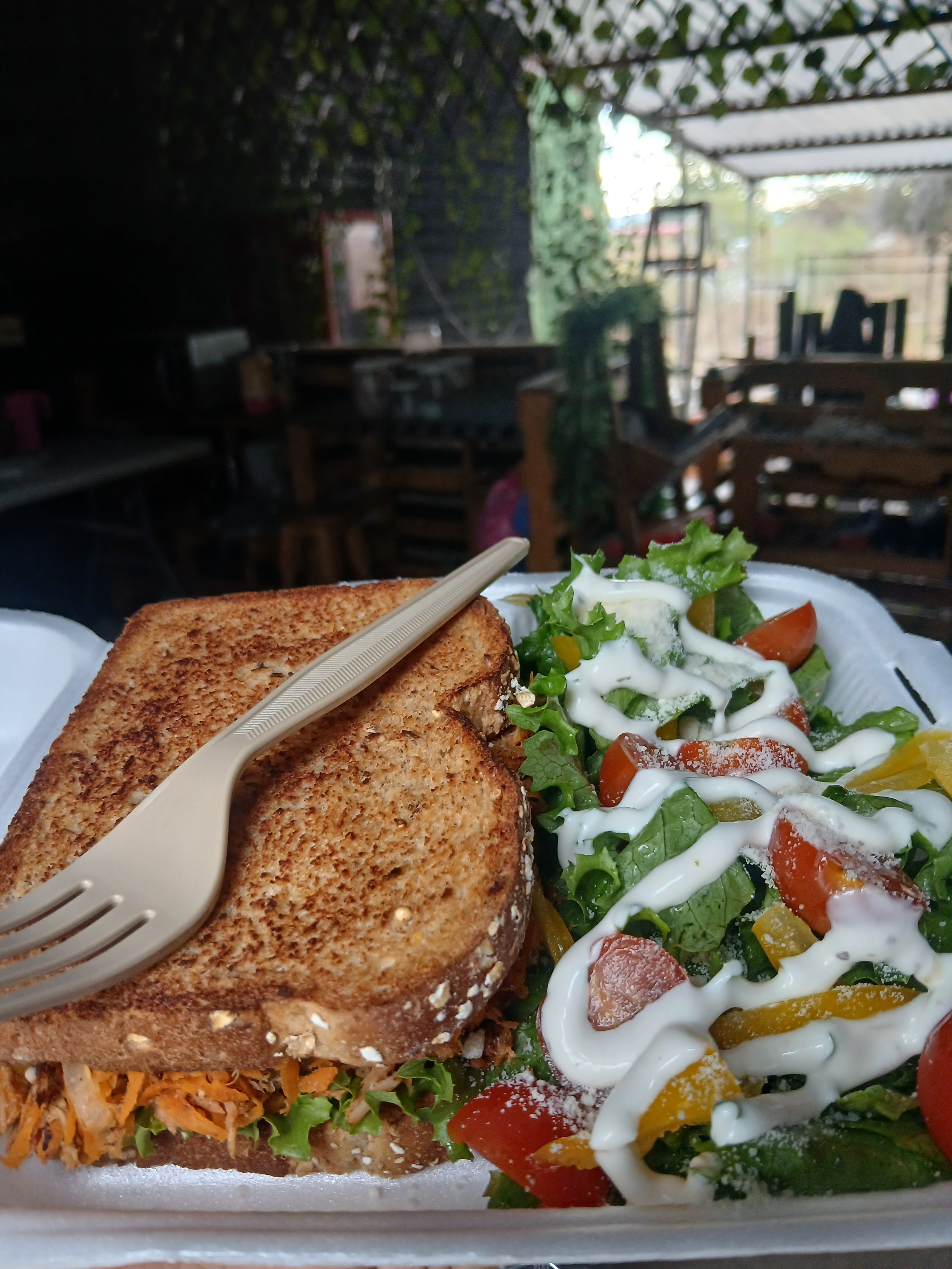 Santa Delicia image 5