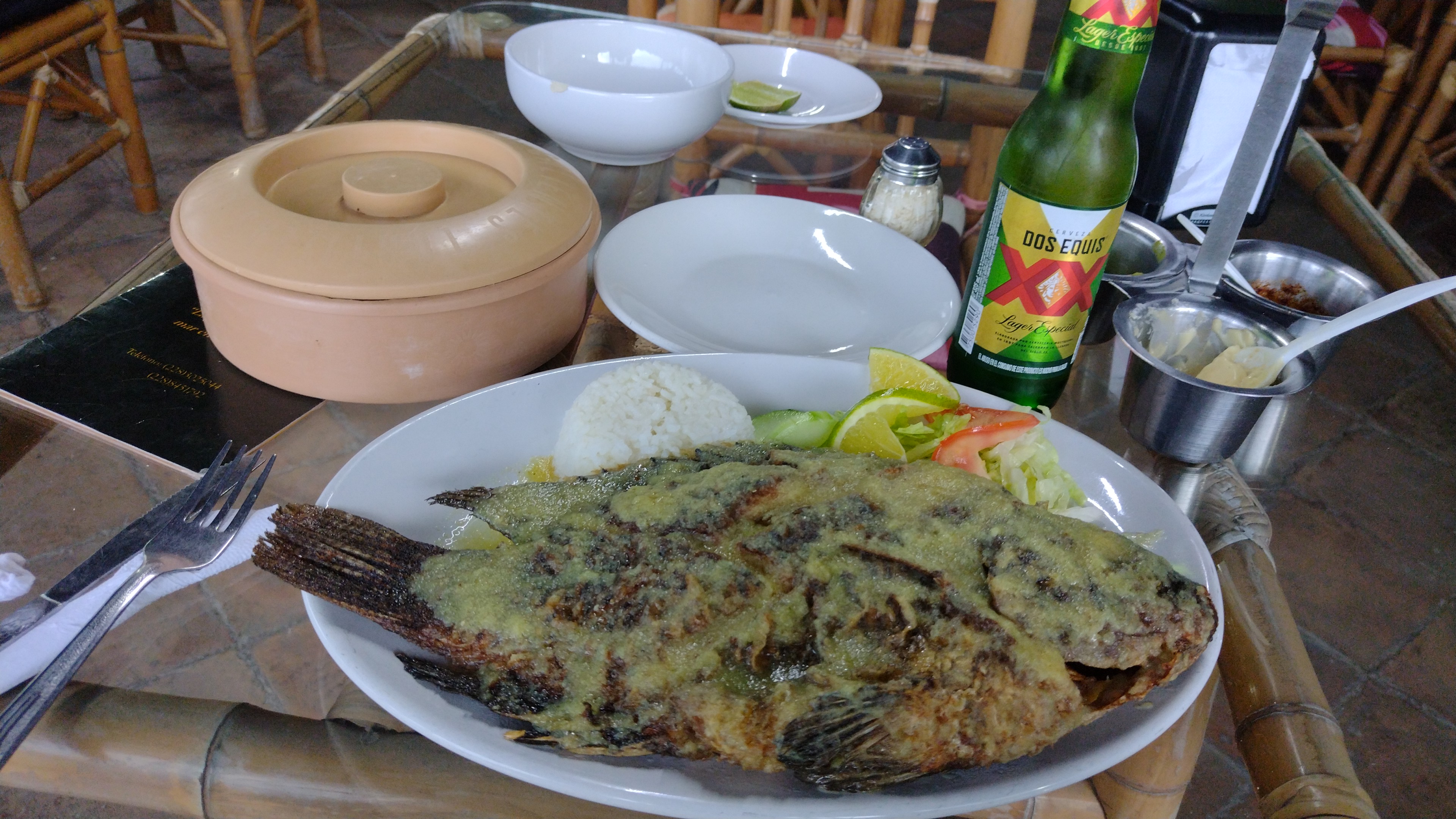 Río Tonalá image 2