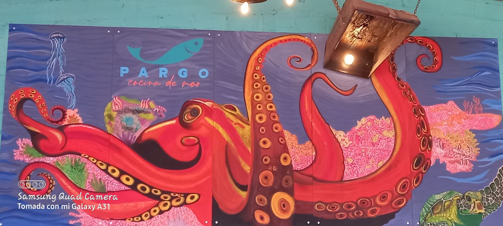 PARGO Cocina de Mar image 3