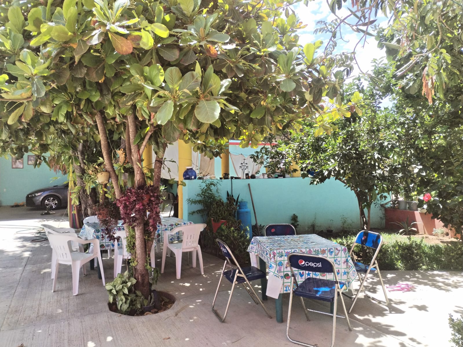 Comedor El Almendro image 1