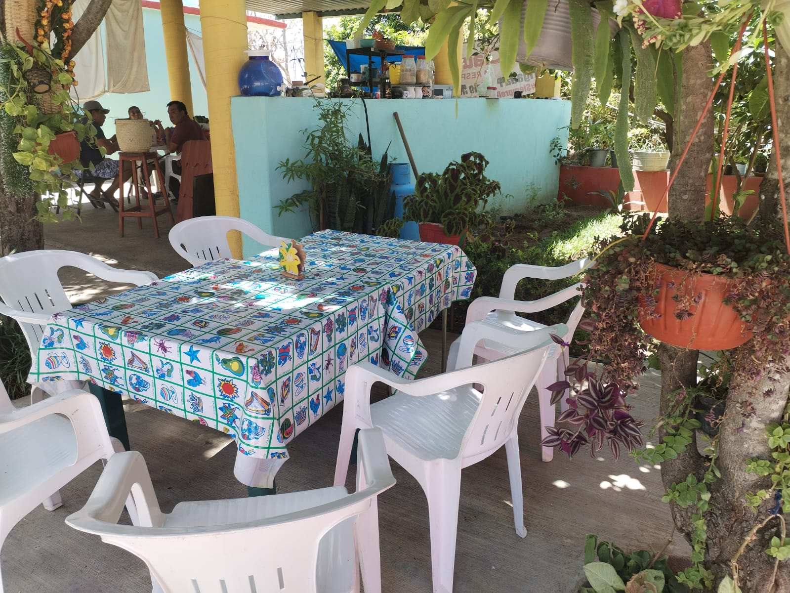 Comedor El Almendro image 2