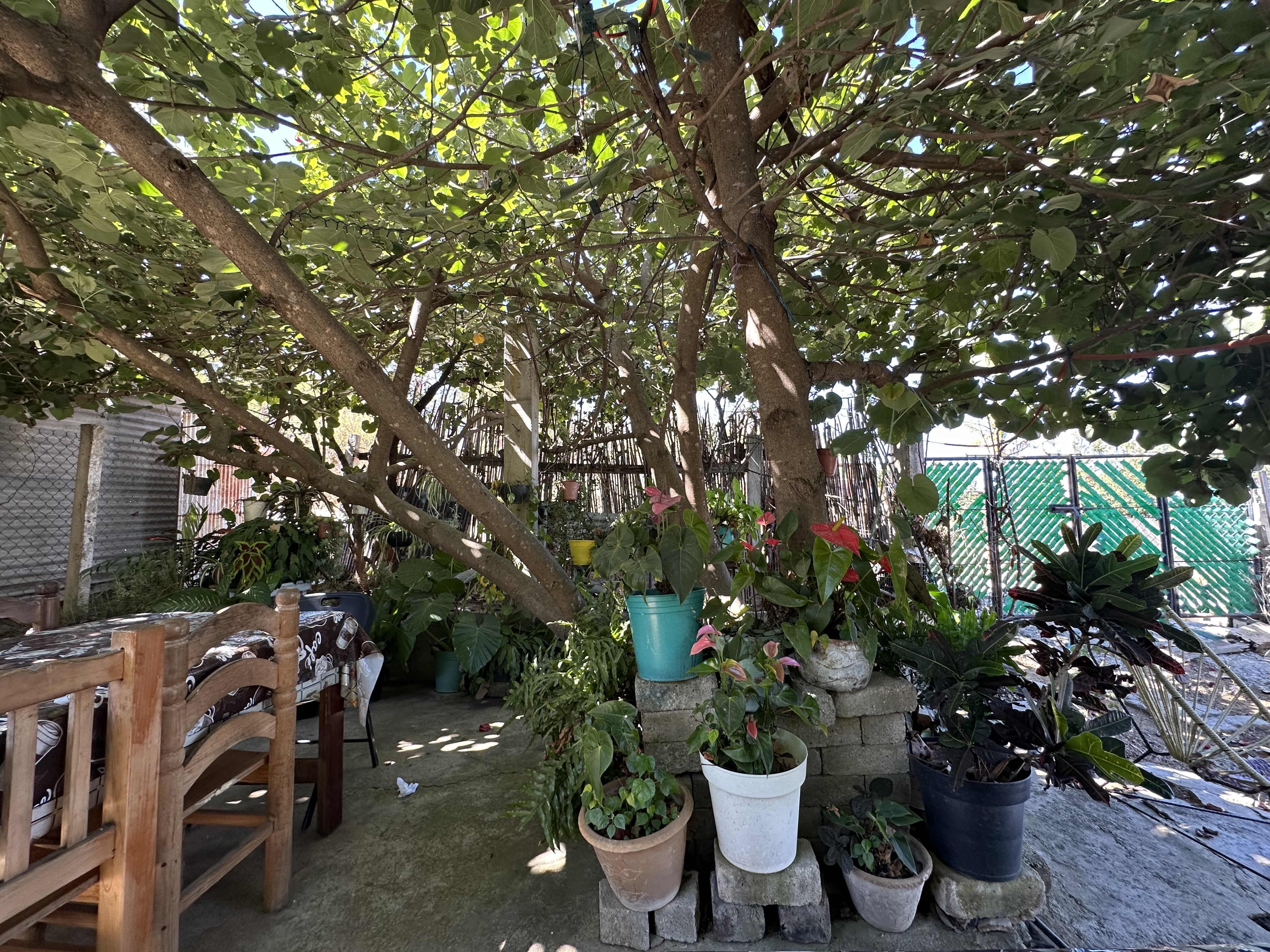 Antojitos de Cris image 3