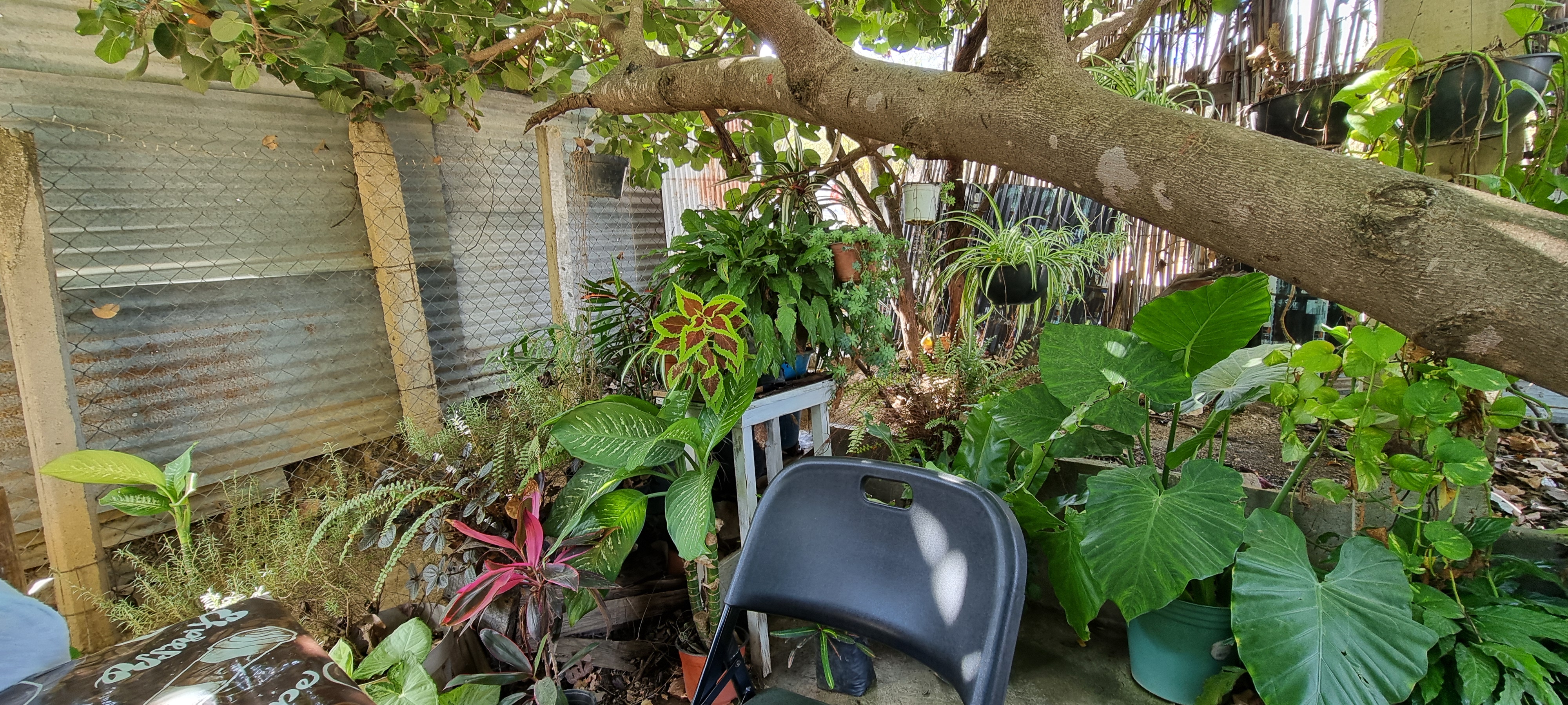 Antojitos de Cris image 5