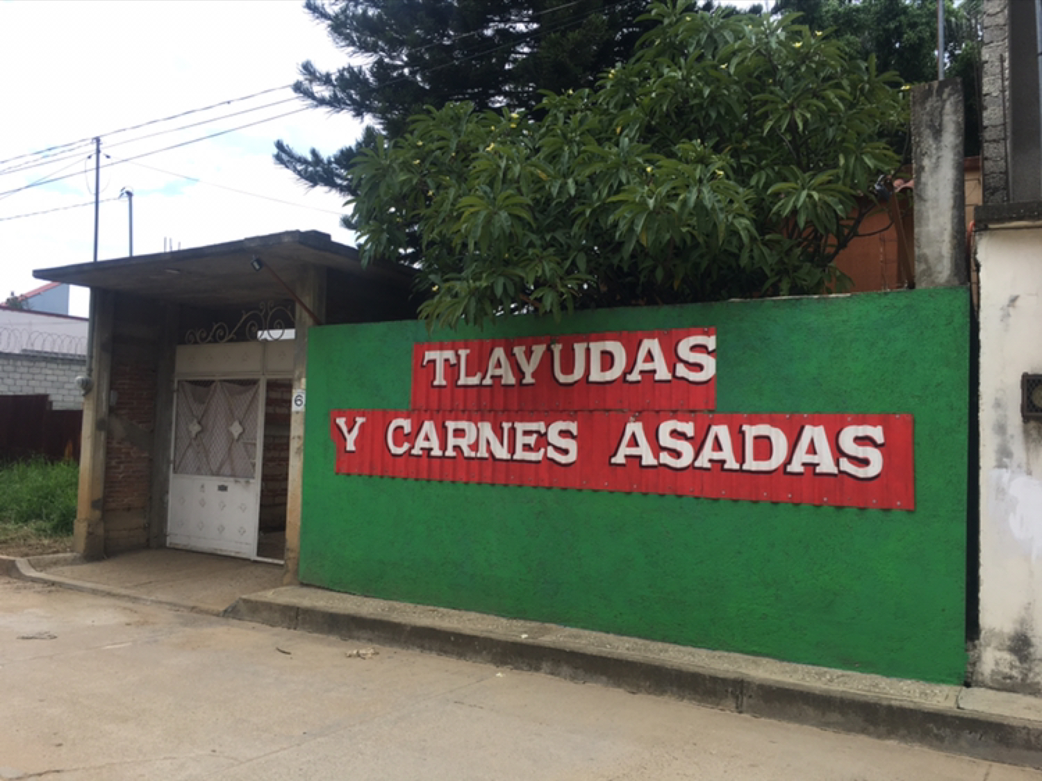 Tlayudas y carnes asadas image 1
